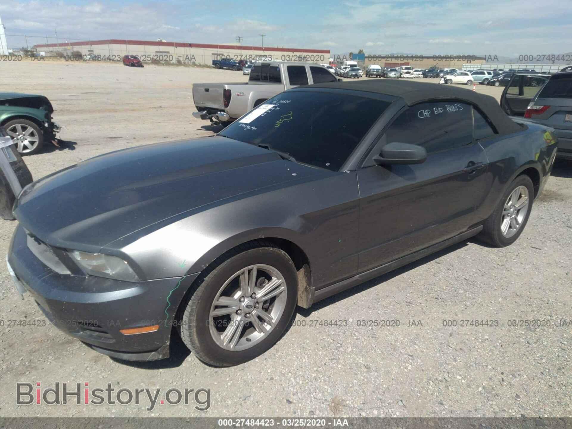 2010 FORD MUSTANG - VIN: 1ZVBP8EN8A5114529 - Фото 2