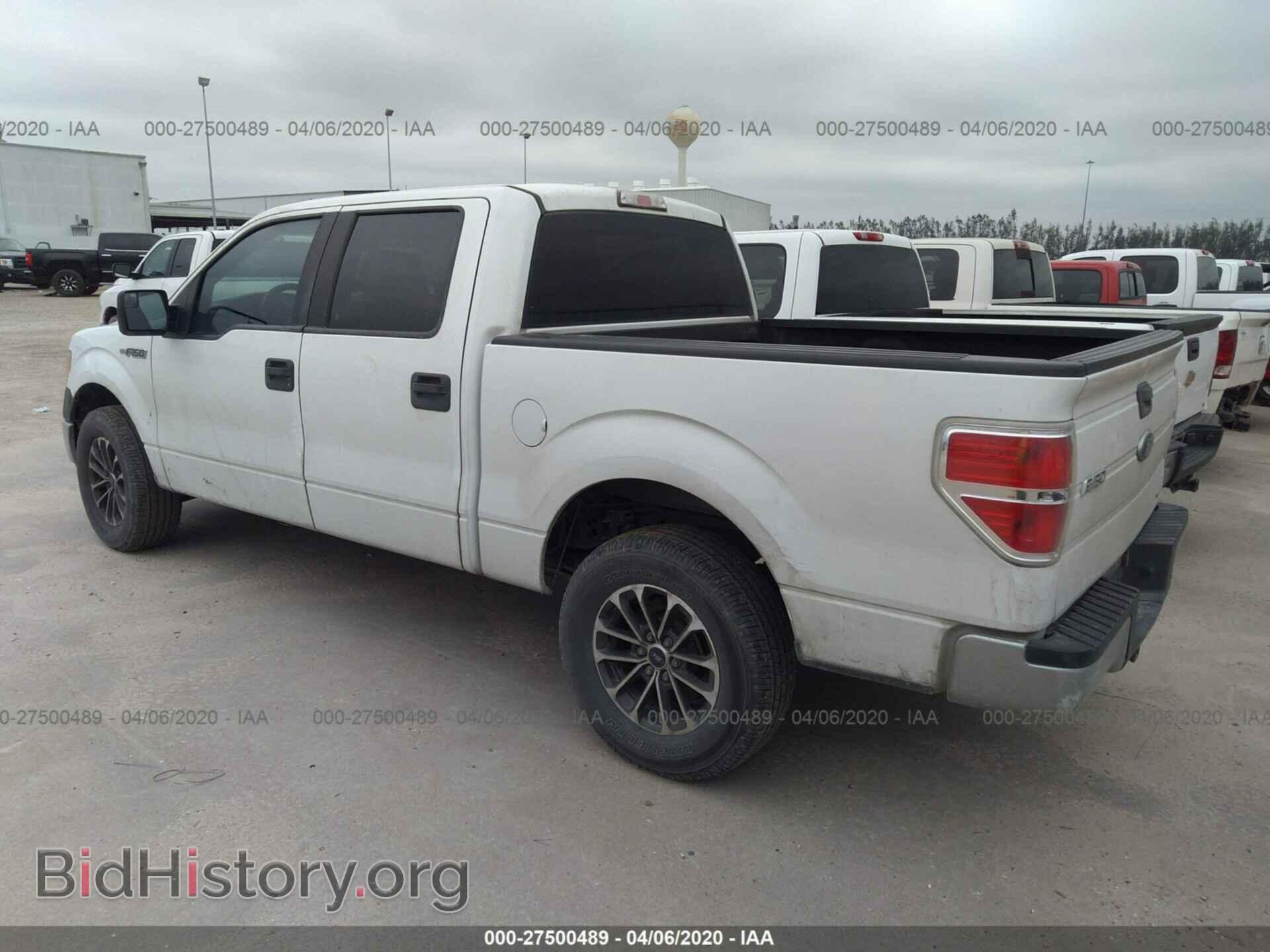 2013 FORD F150 - VIN: 1FTEW1CM1DFC66283 - Photo 3