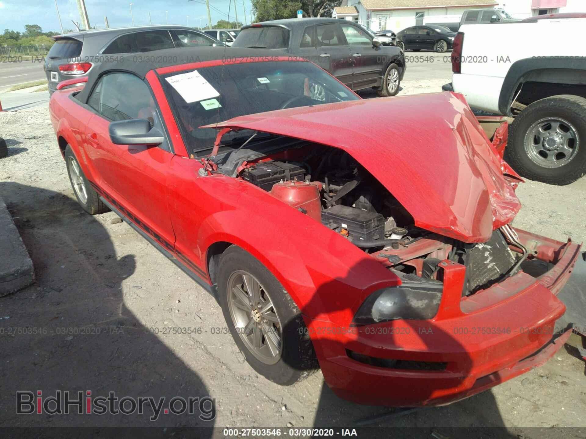 Photo 1ZVFT84N155188475 - FORD MUSTANG 2005