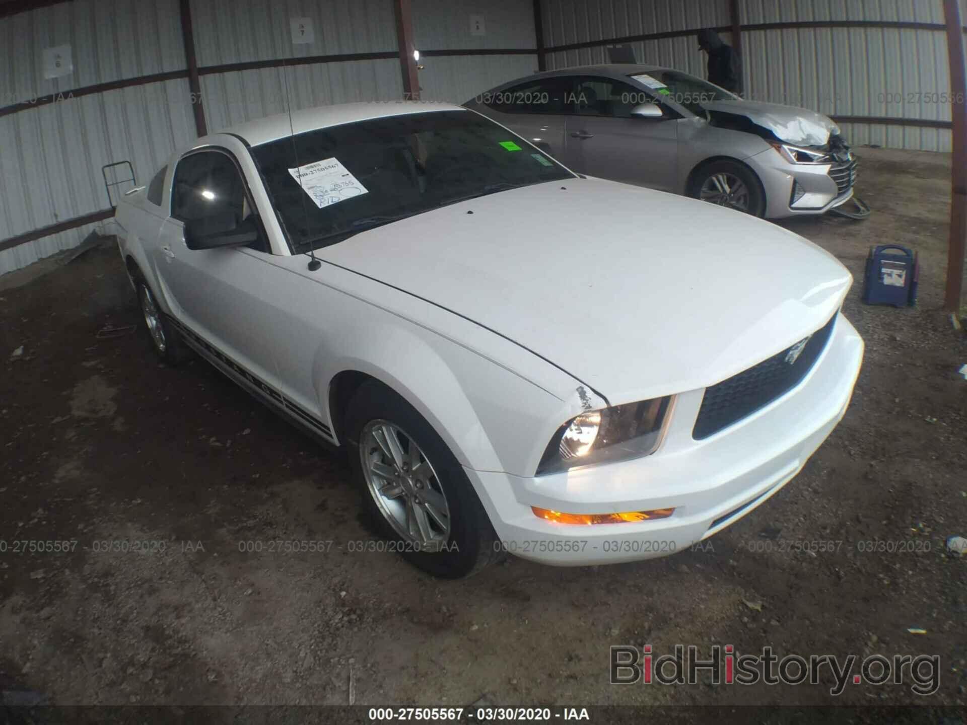 Photo 1ZVHT80N185110913 - FORD MUSTANG 2008