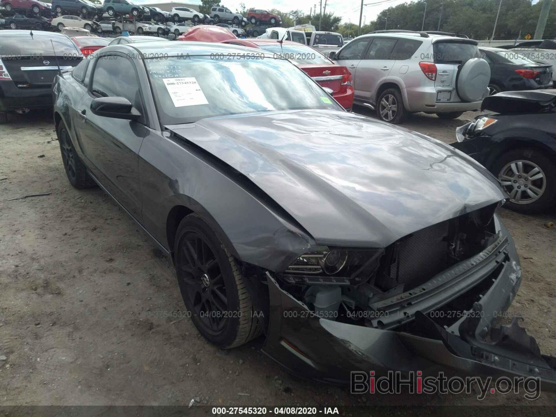 Photo 1ZVBP8AM1E5317779 - FORD MUSTANG 2014