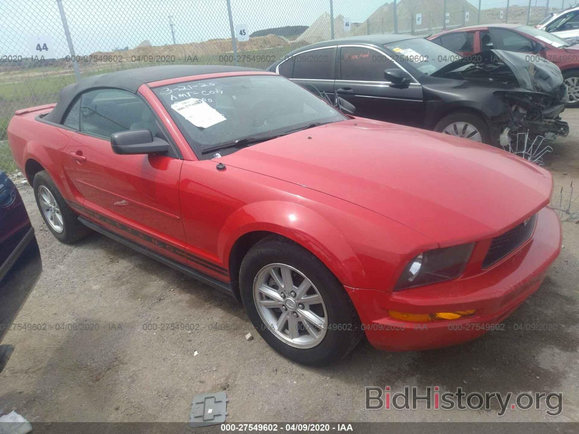 Photo 1ZVHT84N685176805 - FORD MUSTANG 2008