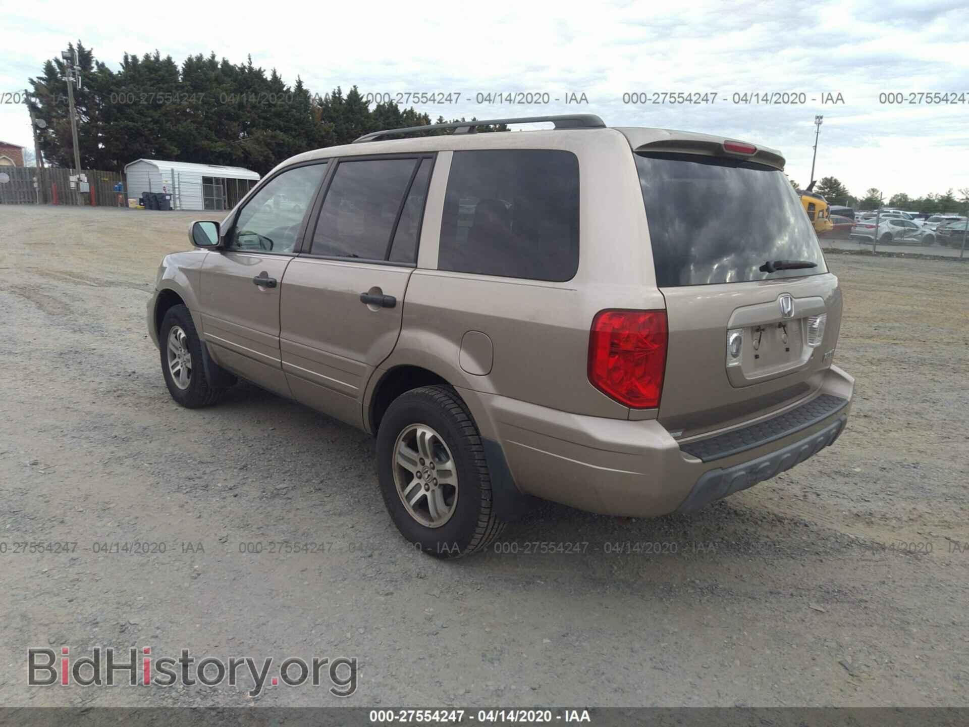 2005 HONDA PILOT - VIN: 5FNYF18505B037484 - Photo 3