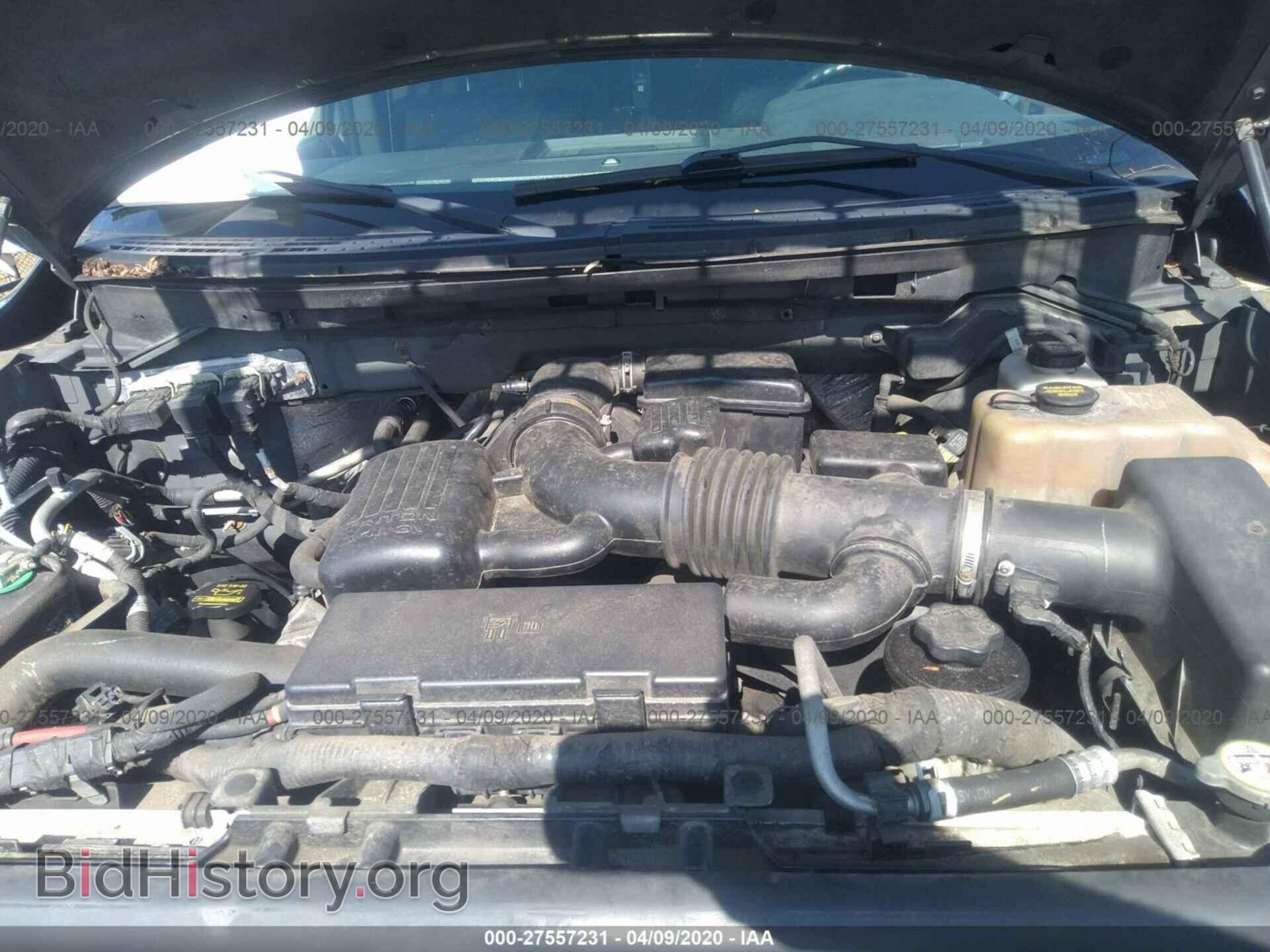 2010 FORD F150 - VIN: 1FTFW1EV8AFA20434 - Фото 10