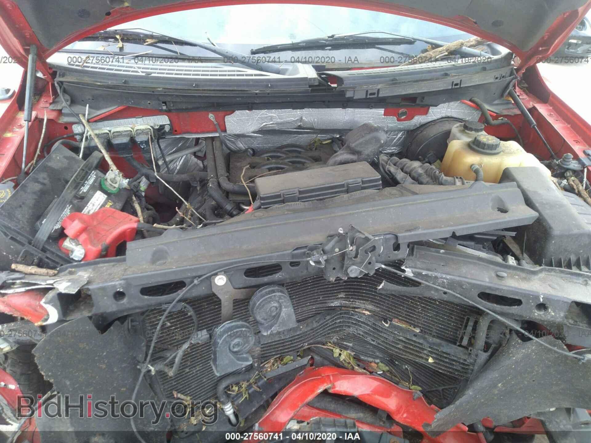 2011 FORD F150 - VIN: 1FTFW1CF9BKD04532 - Фото 10