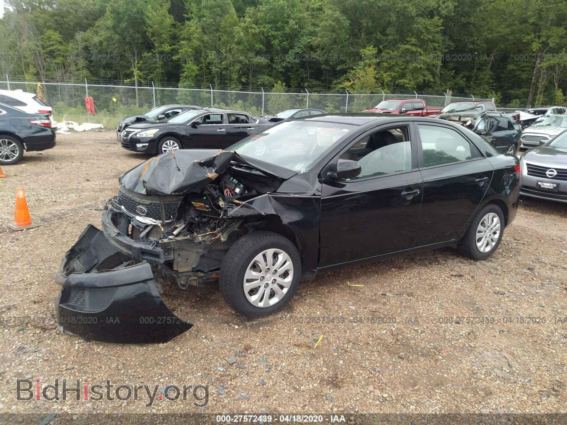 2013 KIA FORTE - VIN: KNAFT4A23D5666767 - Фото 2