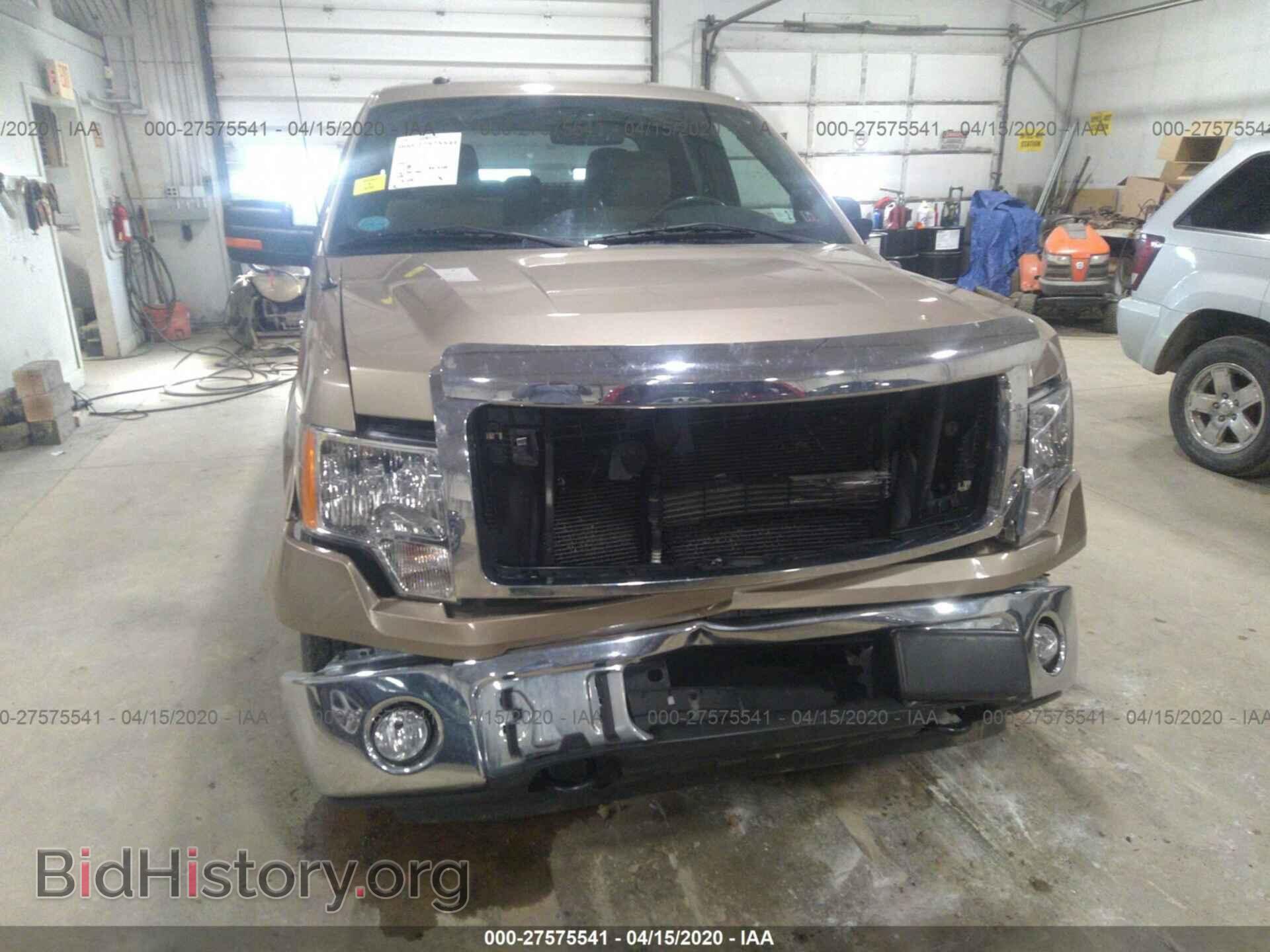 2014 FORD F150 - VIN: 1FTFX1EF6EFB96460 - Фото 6