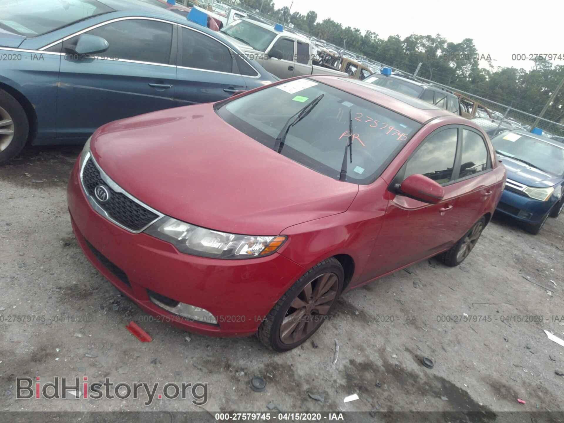 2013 KIA FORTE - VIN: KNAFW4A30D5658402 - Фото 2