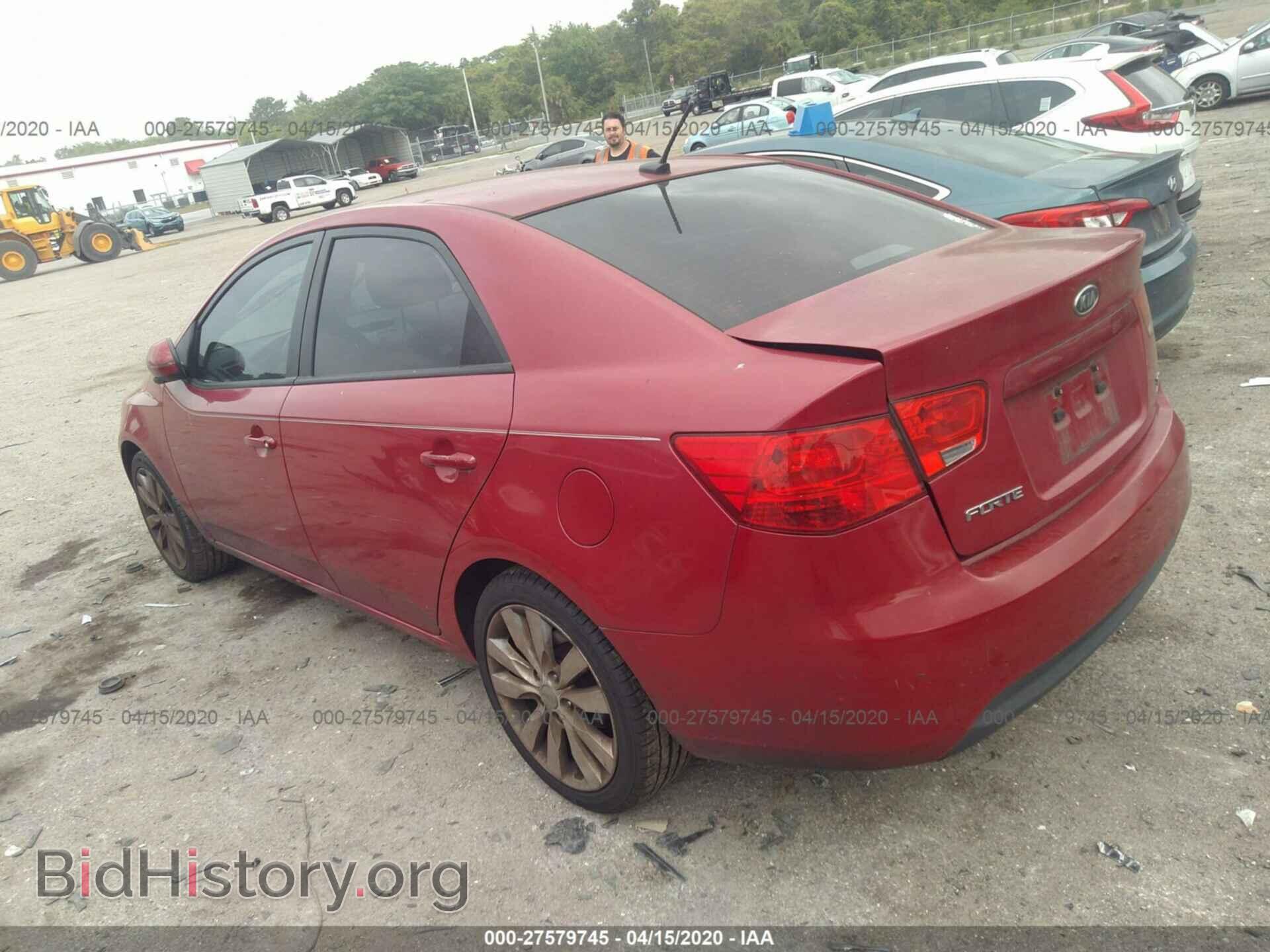 2013 KIA FORTE - VIN: KNAFW4A30D5658402 - Фото 3