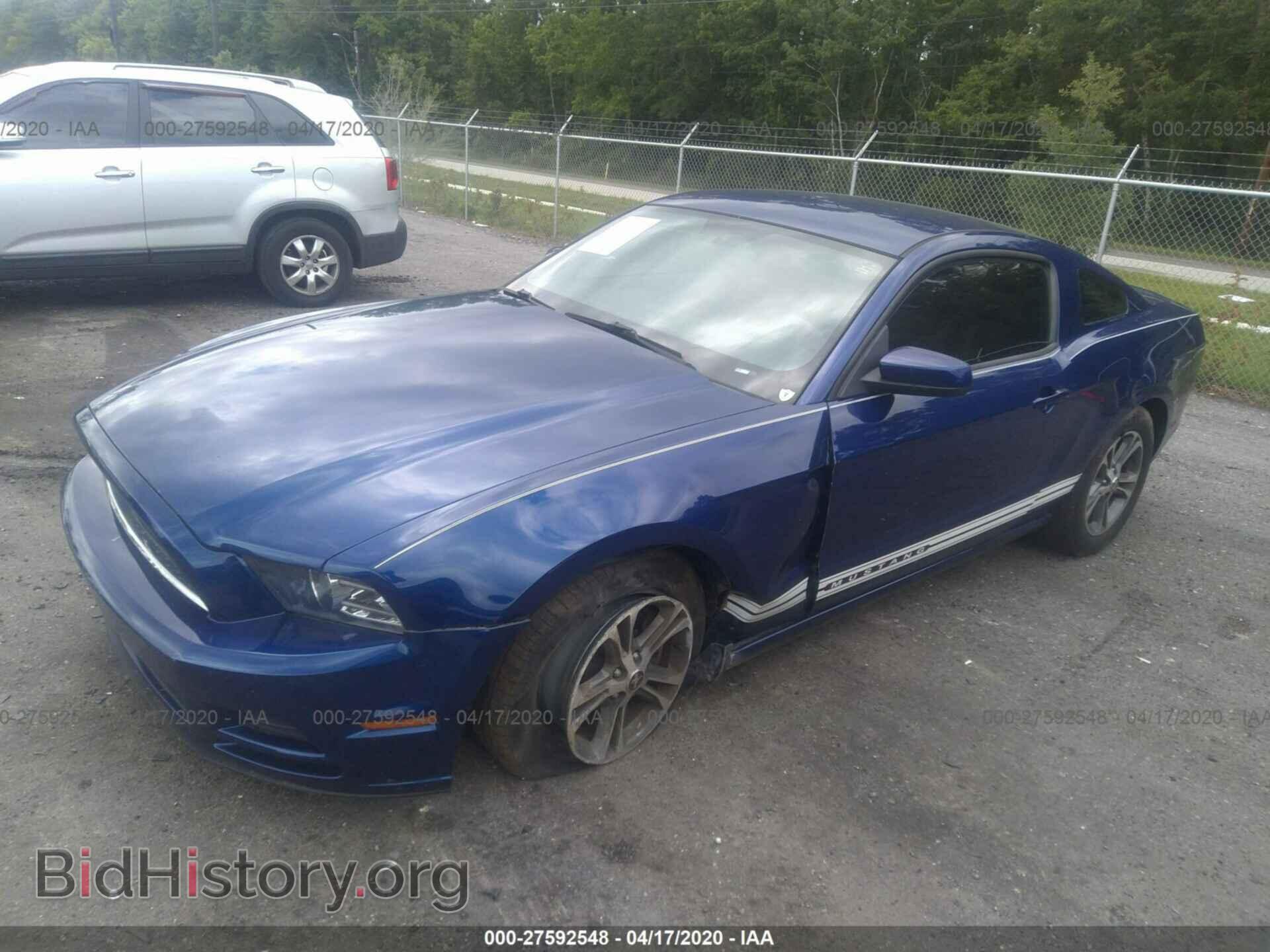 2013 FORD MUSTANG - VIN: 1ZVBP8AM8D5281376 - Фото 2