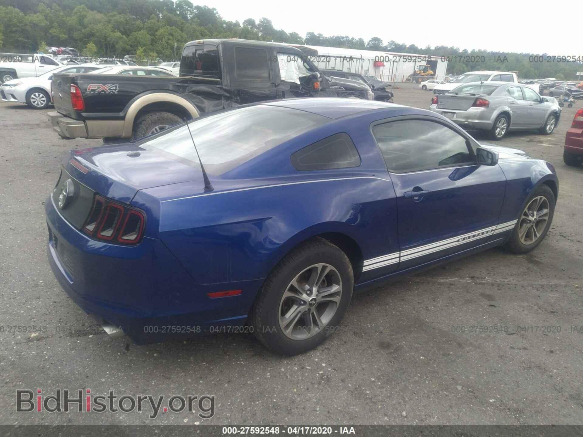 2013 FORD MUSTANG - VIN: 1ZVBP8AM8D5281376 - Фото 4