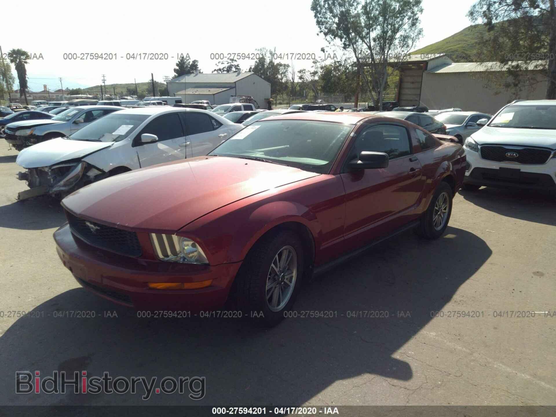 2005 Ford Mustang - VIN: 1ZVFT80N155134499 - Фото 2