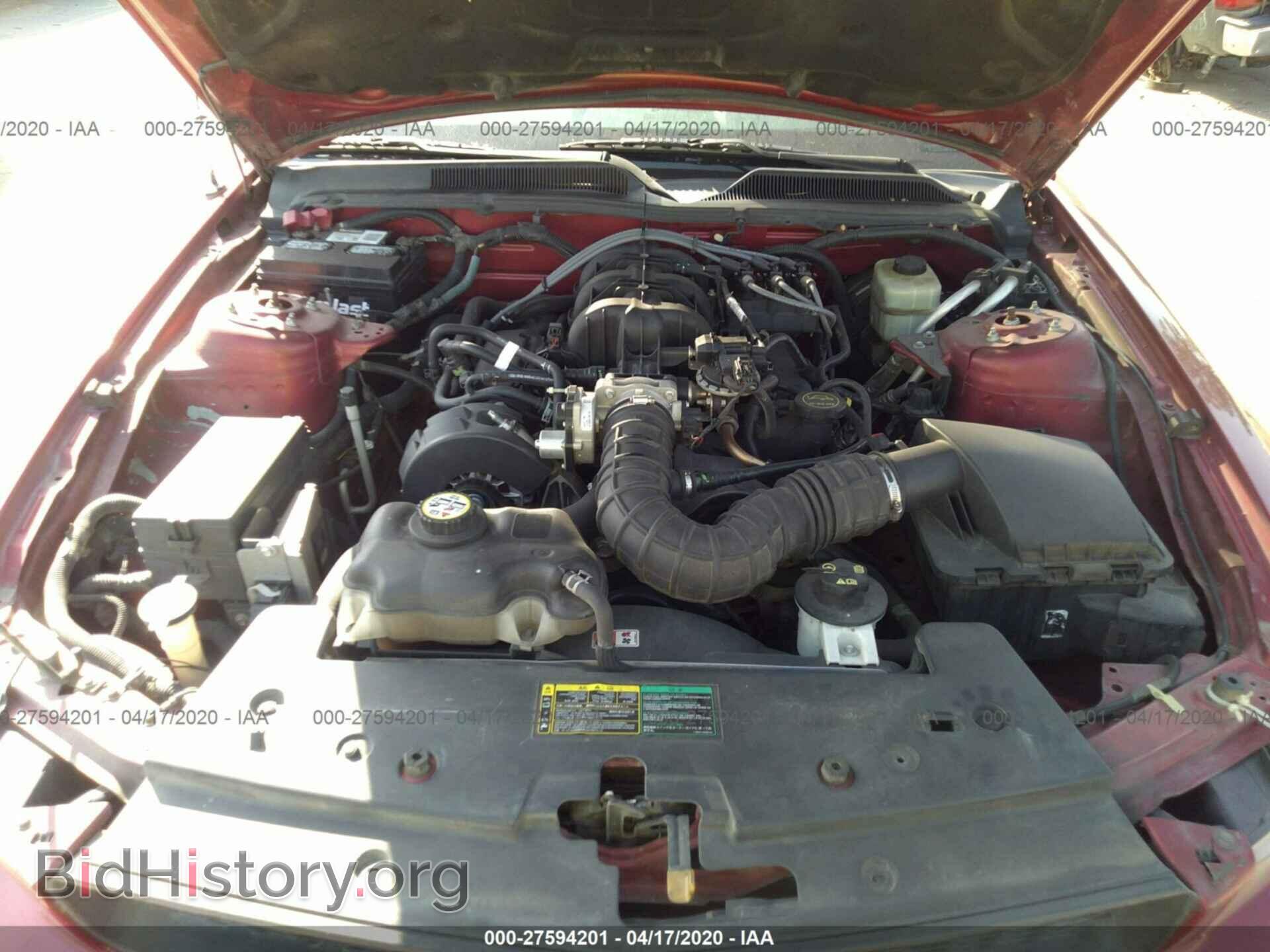 2005 Ford Mustang - VIN: 1ZVFT80N155134499 - Фото 10