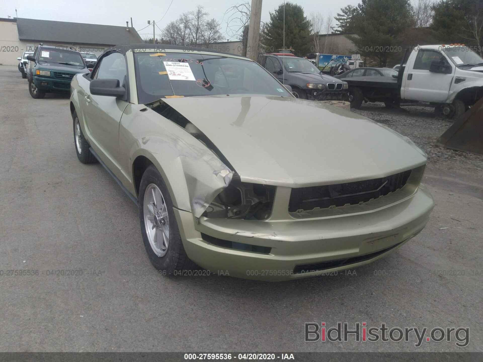 Photo 1ZVHT84N565165503 - FORD MUSTANG 2006