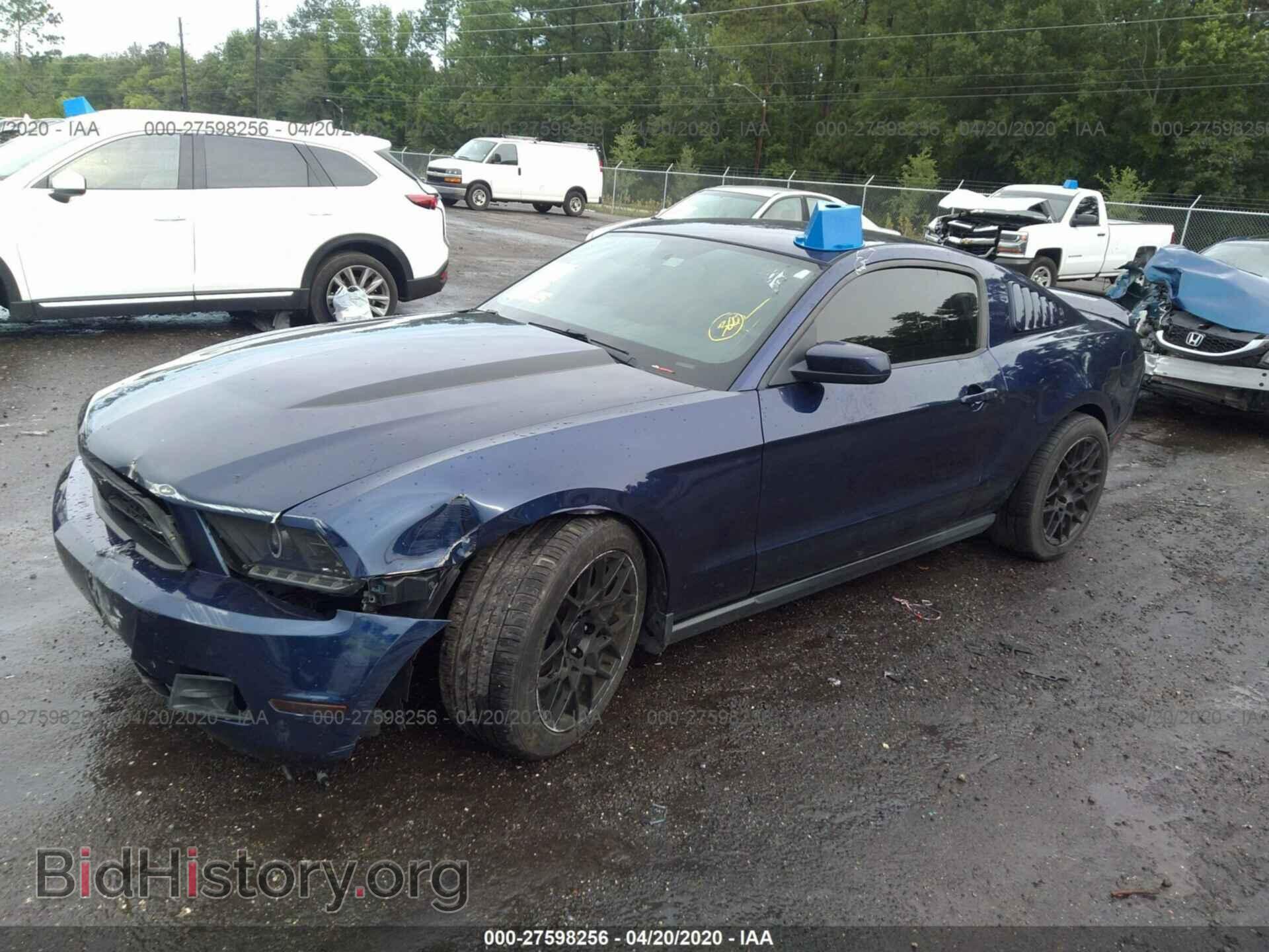 2012 FORD MUSTANG - VIN: 1ZVBP8AM3C5205935 - Фото 2