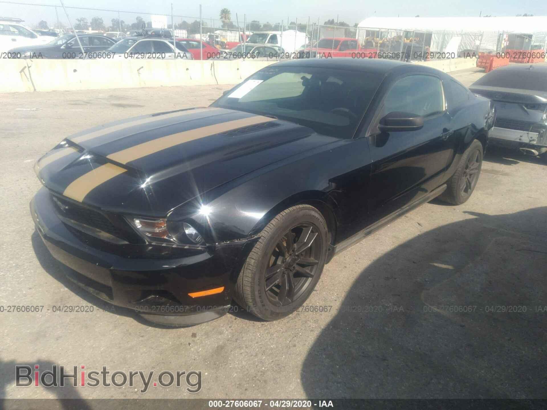 2011 FORD MUSTANG - VIN: 1ZVBP8AM6B5142070 - Фото 2