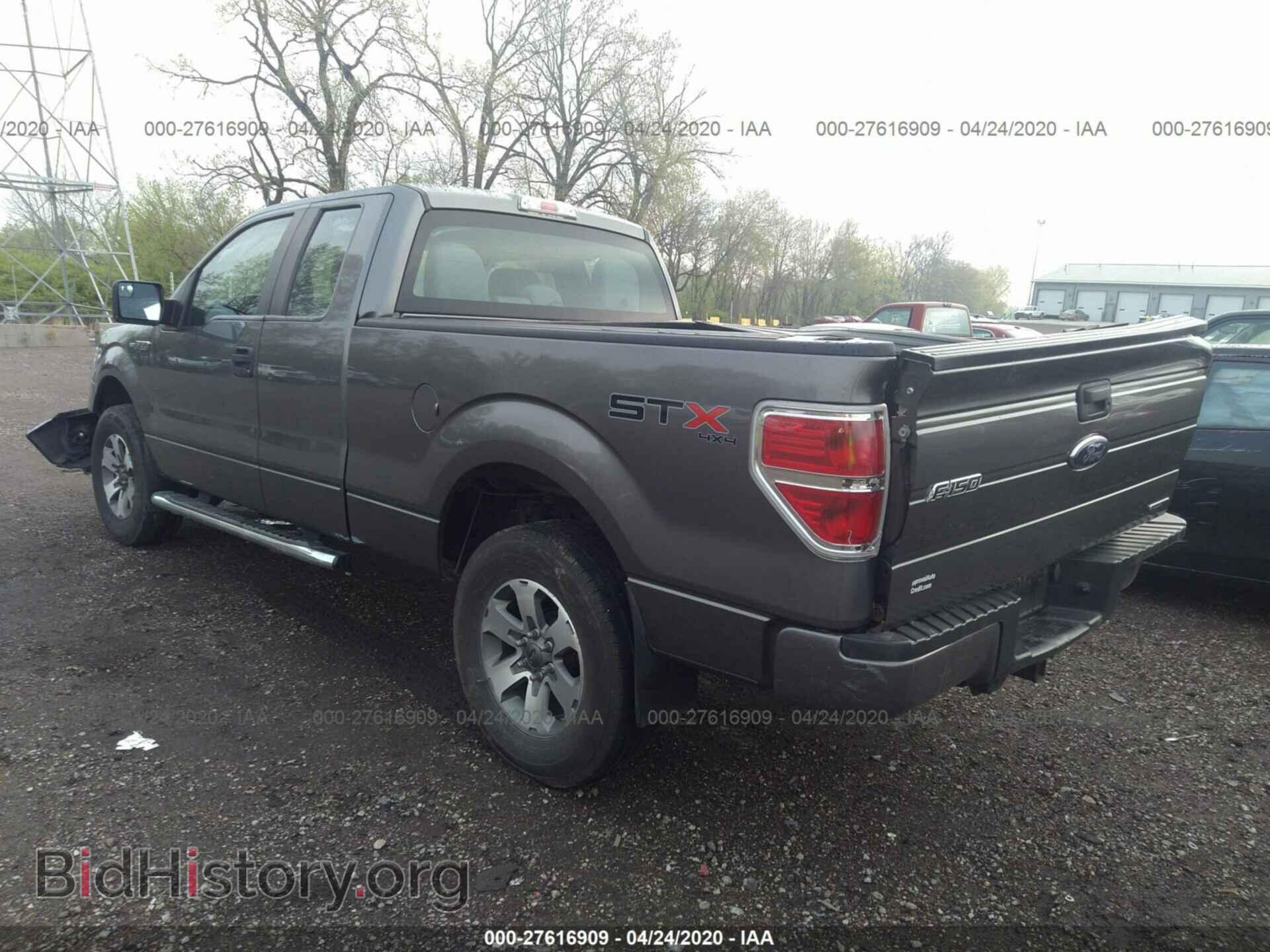 2013 FORD F150 - VIN: 1FTFX1EF2DFD65873 - Фото 3