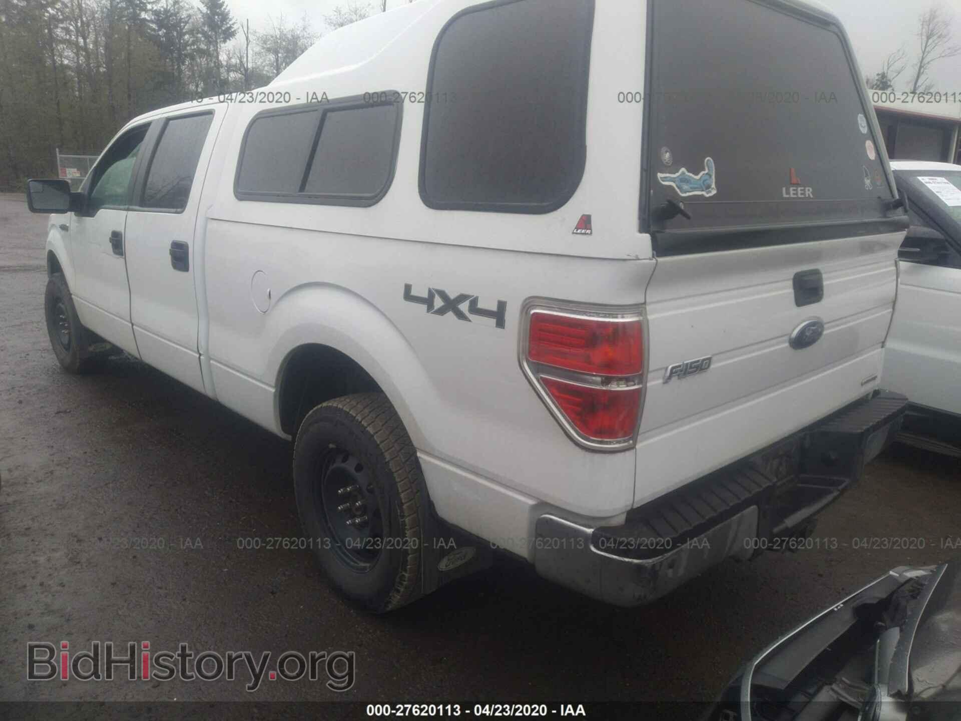 2013 FORD F150 - VIN: 1FTFW1EF8DFC74495 - Фото 3
