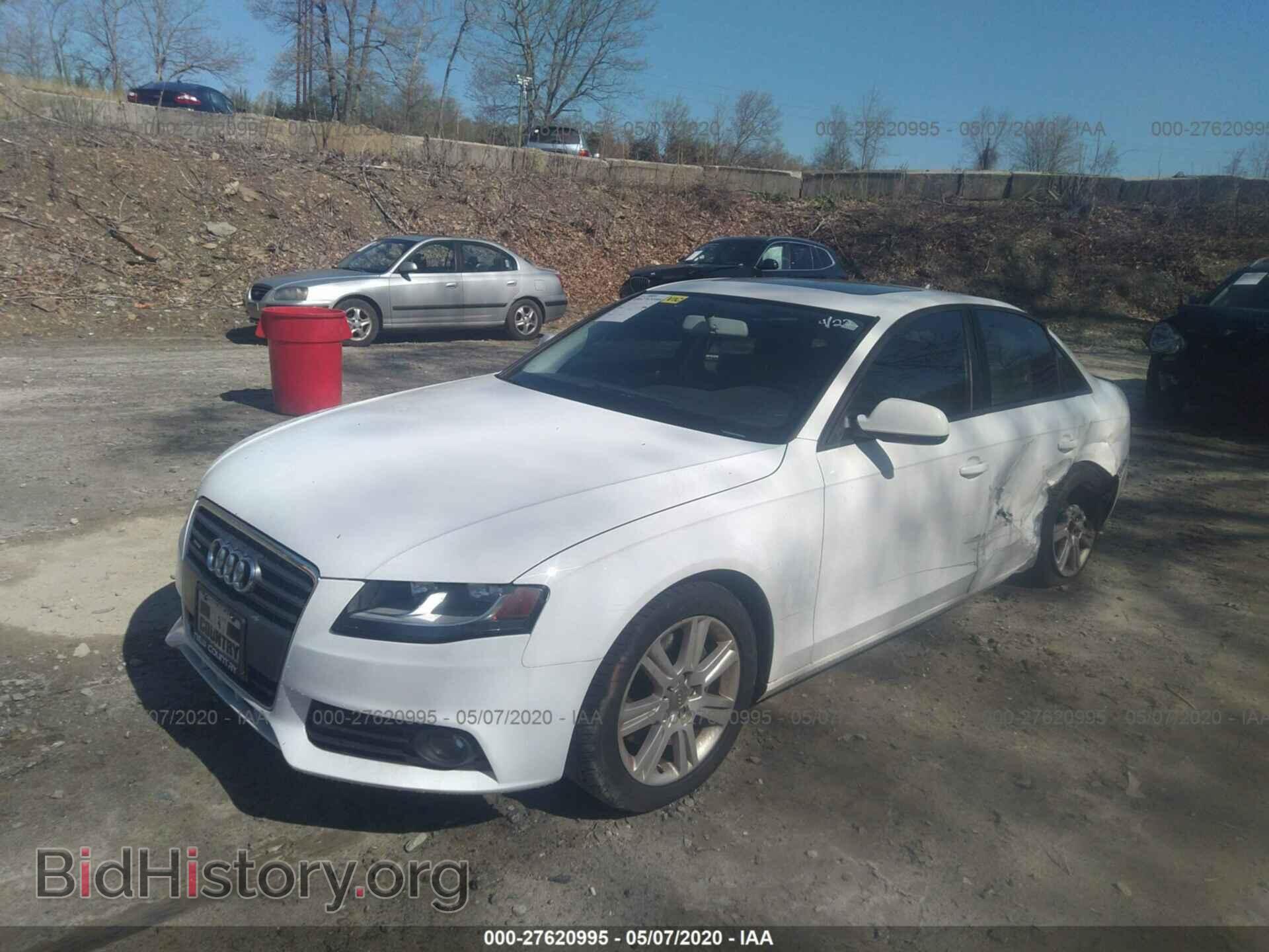 2010 AUDI A4 - VIN: WAUBFAFL4AN026035 - Фото 2