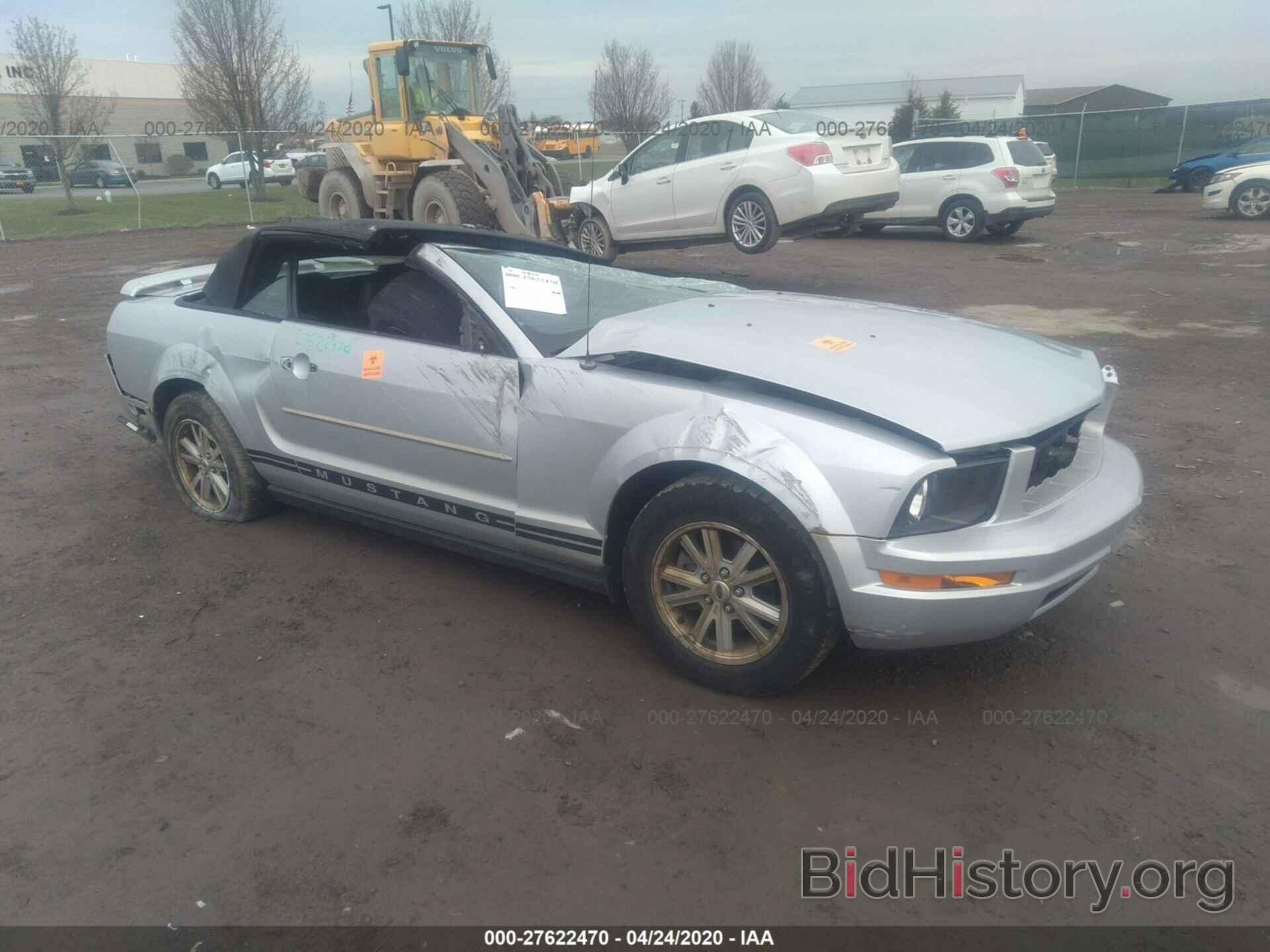 Photo 1ZVFT84N865229153 - FORD MUSTANG 2006