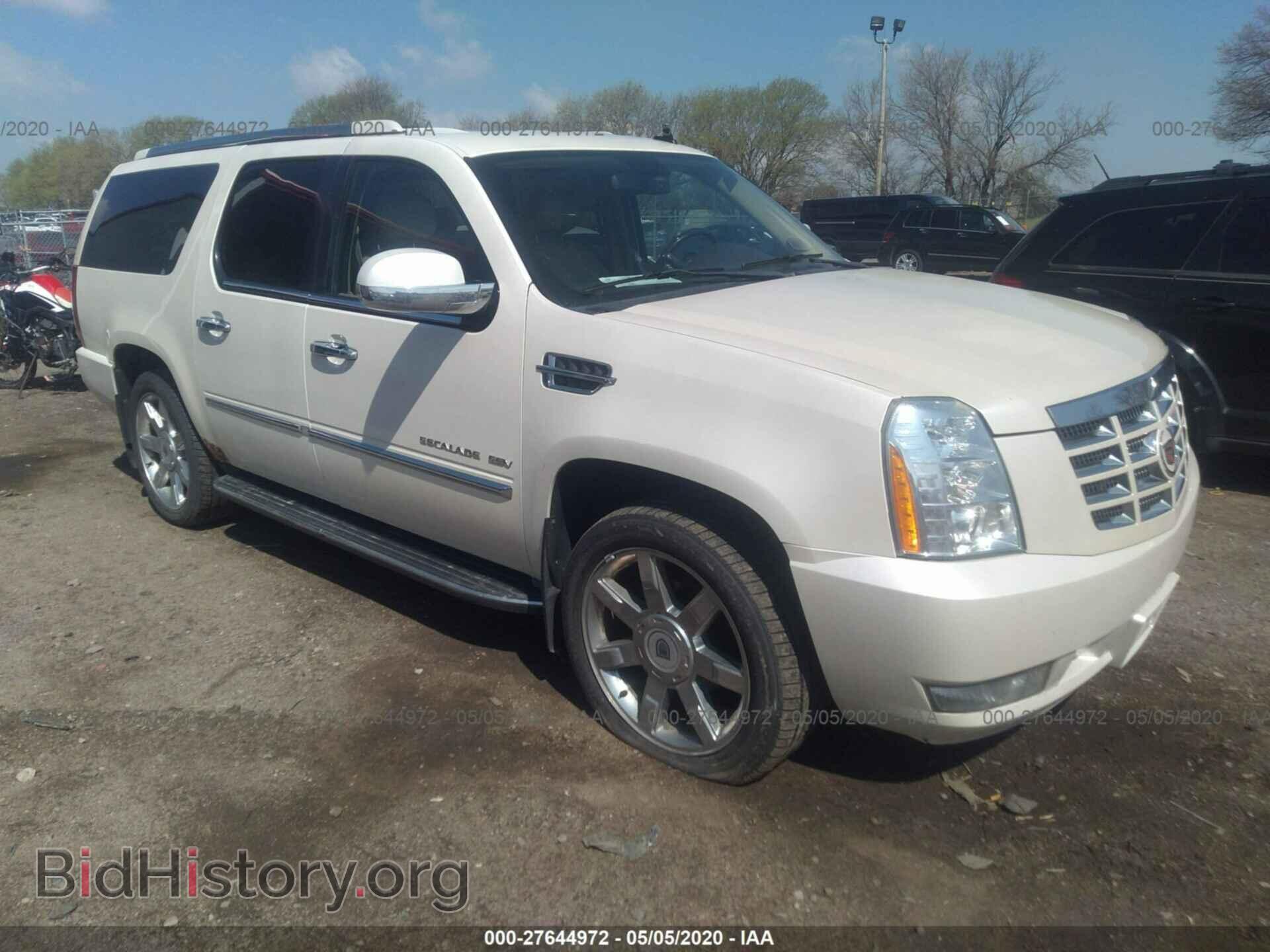 Photo 1GYUKHEF5AR270551 - CADILLAC ESCALADE 2010