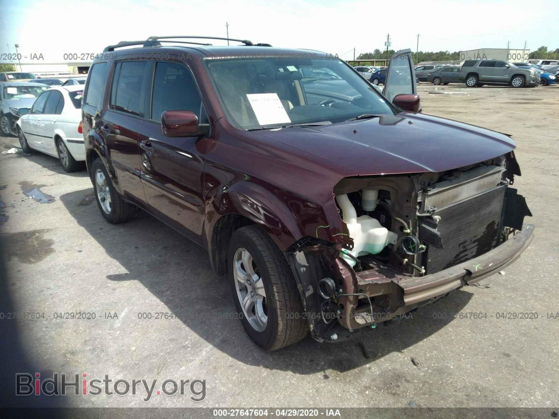 Фотография 5FNYF3H40DB021982 - HONDA PILOT 2013
