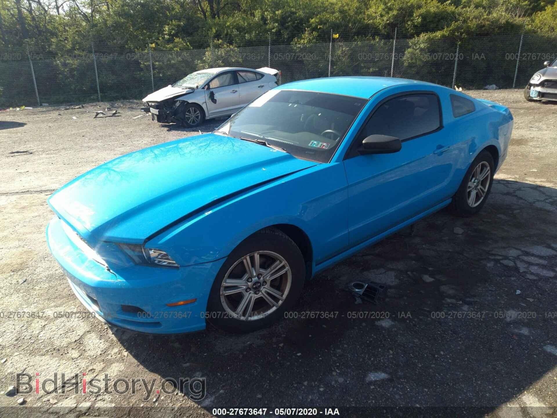 2013 FORD MUSTANG - VIN: 1ZVBP8AM7D5240687 - Photo 2