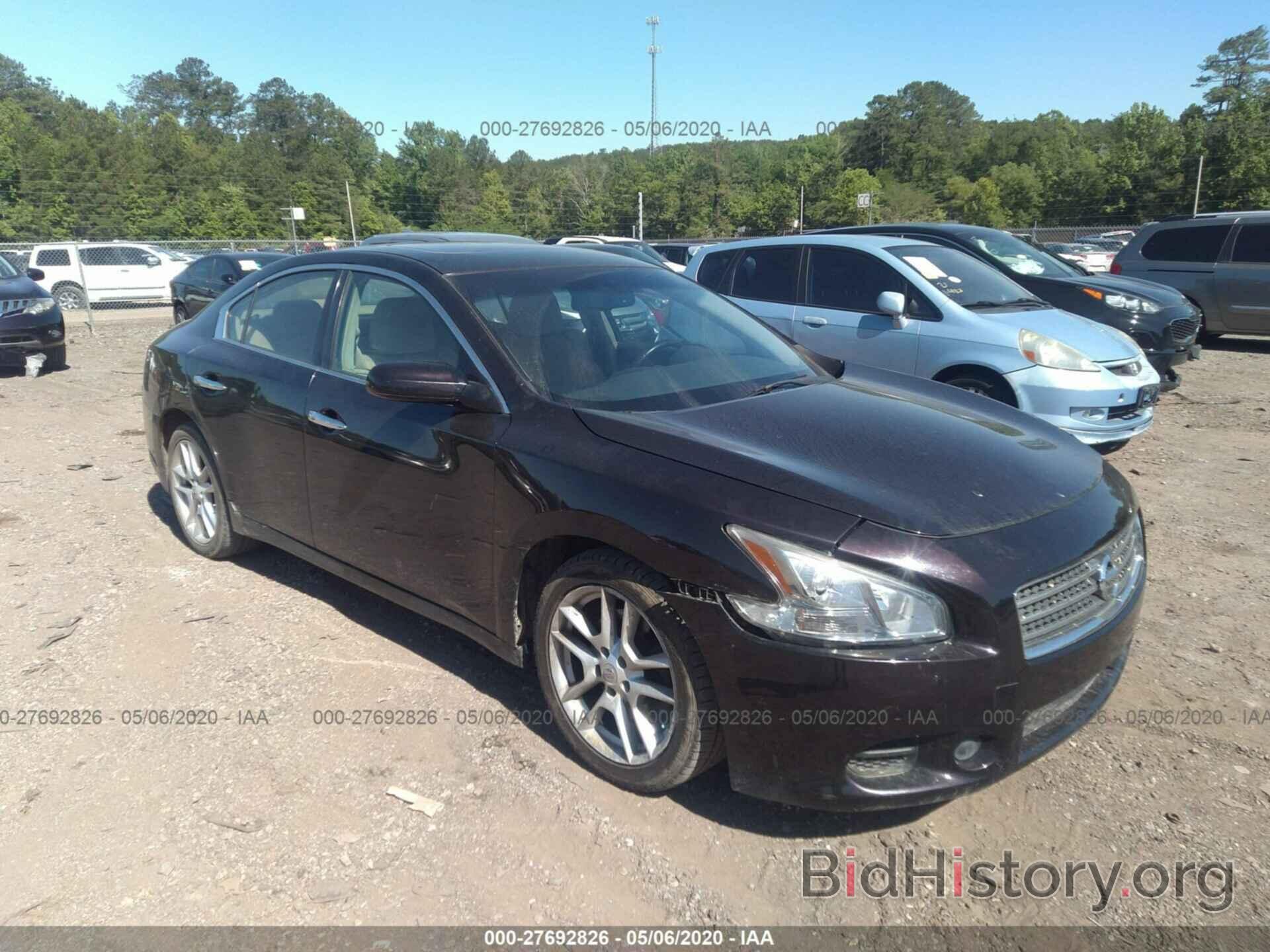 Photo 1N4AA5AP5AC873680 - NISSAN MAXIMA 2010