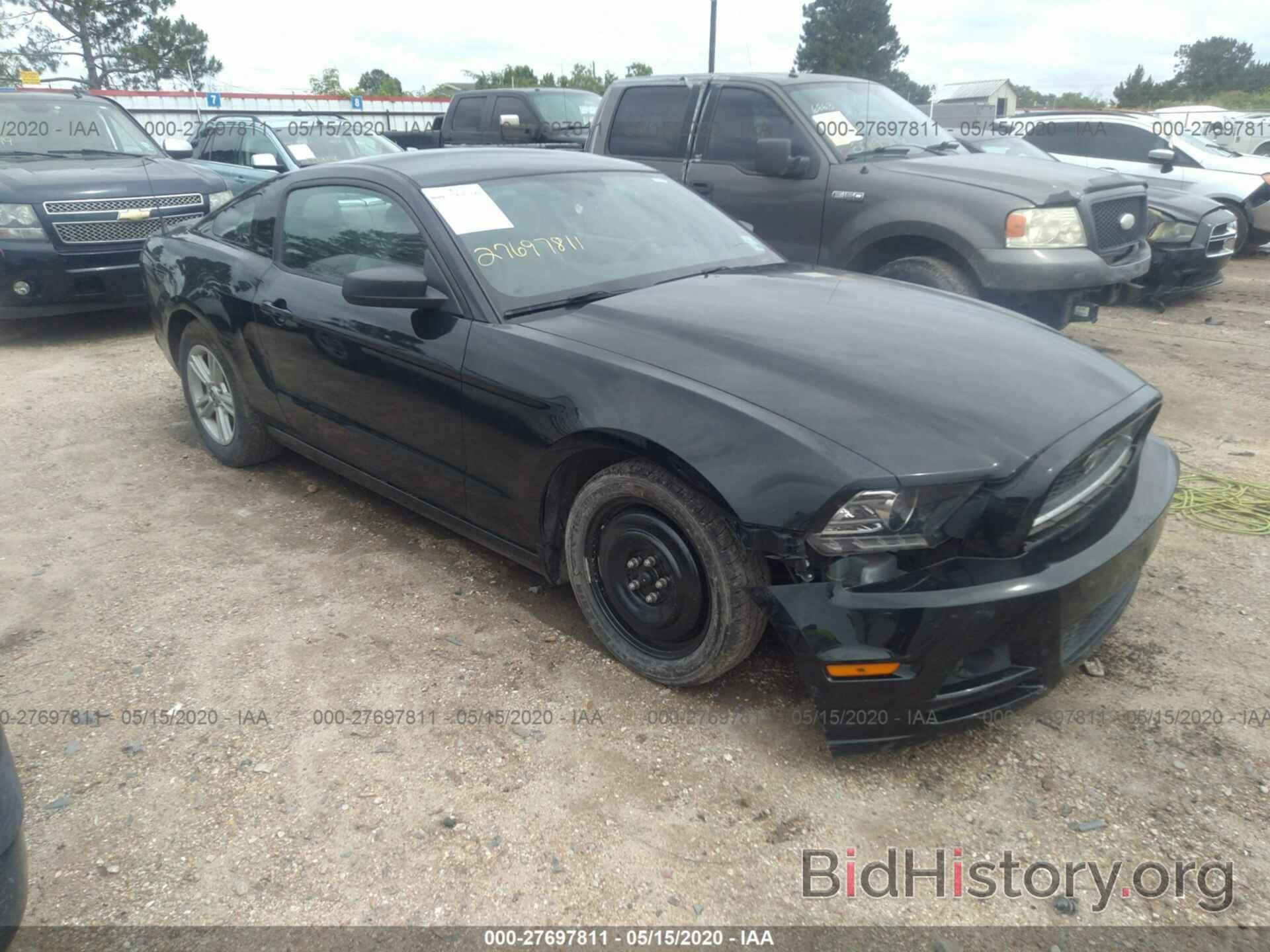 Photo 1ZVBP8AM4E5251342 - FORD MUSTANG 2014