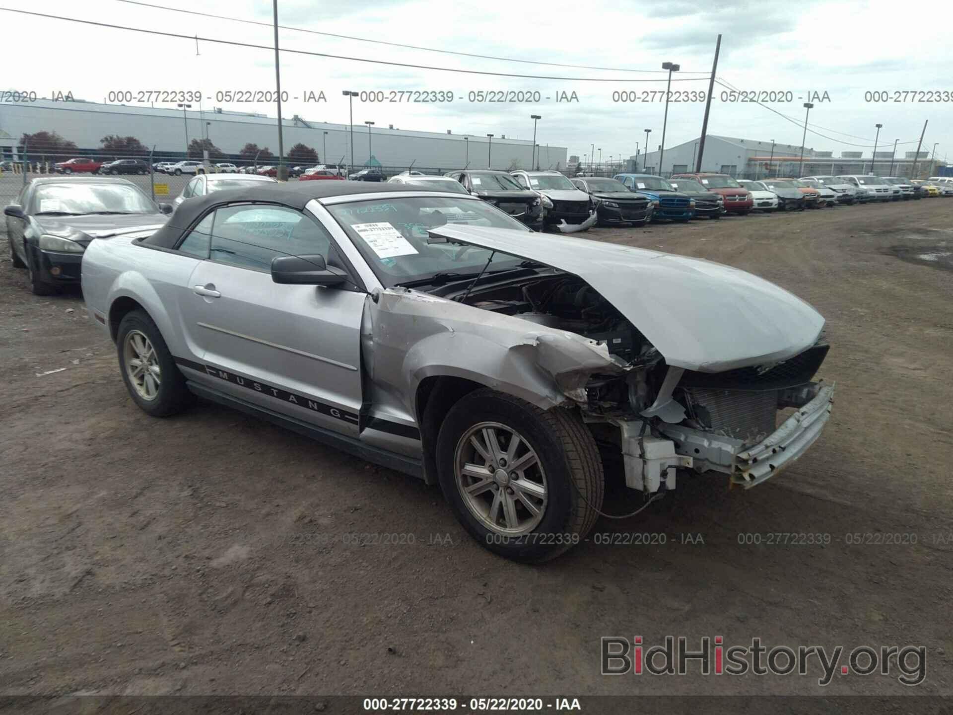 Photo 1ZVHT84N285200629 - FORD MUSTANG 2008