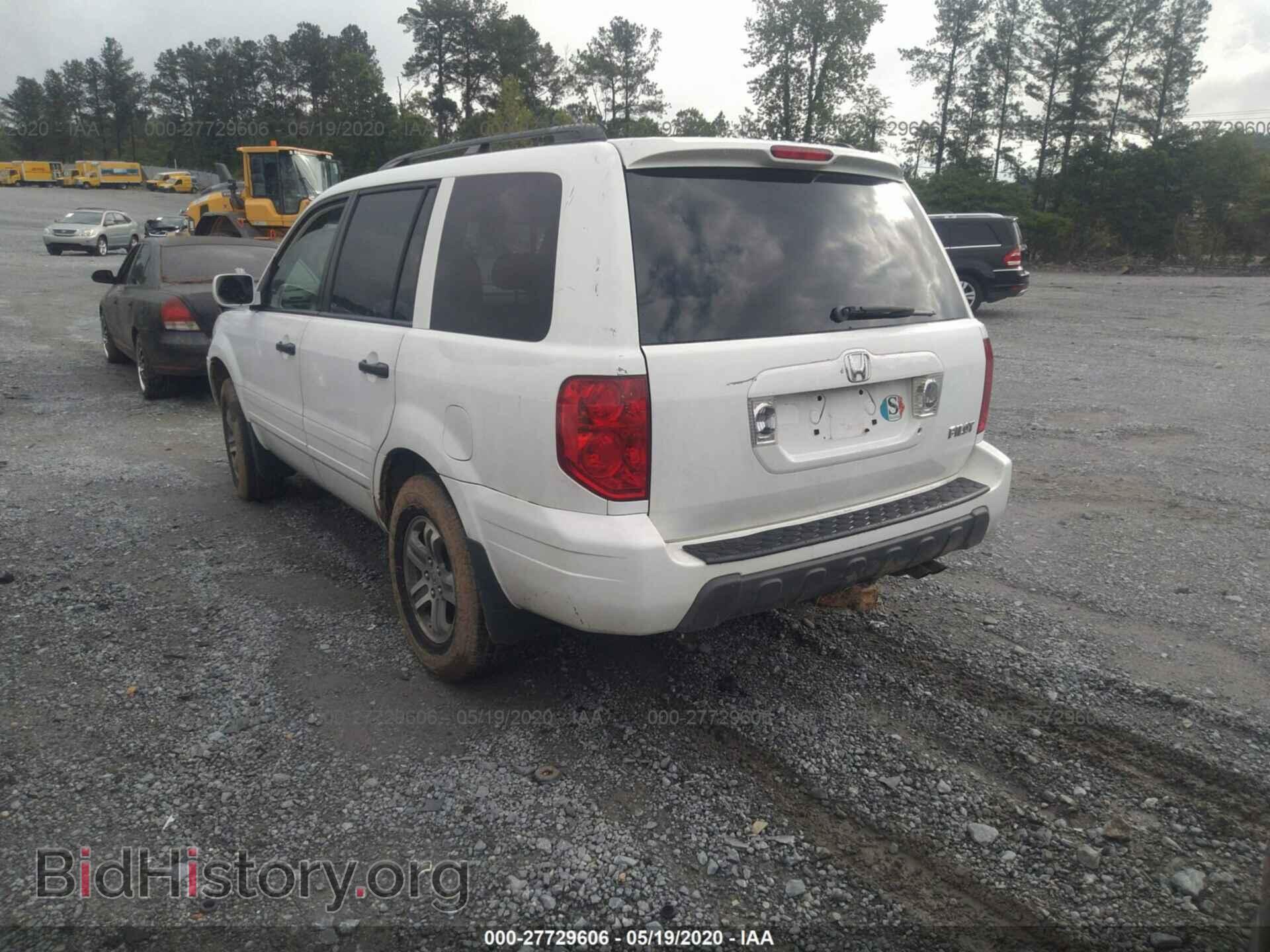 2005 HONDA PILOT - VIN: 5FNYF18565B035528 - Фото 3