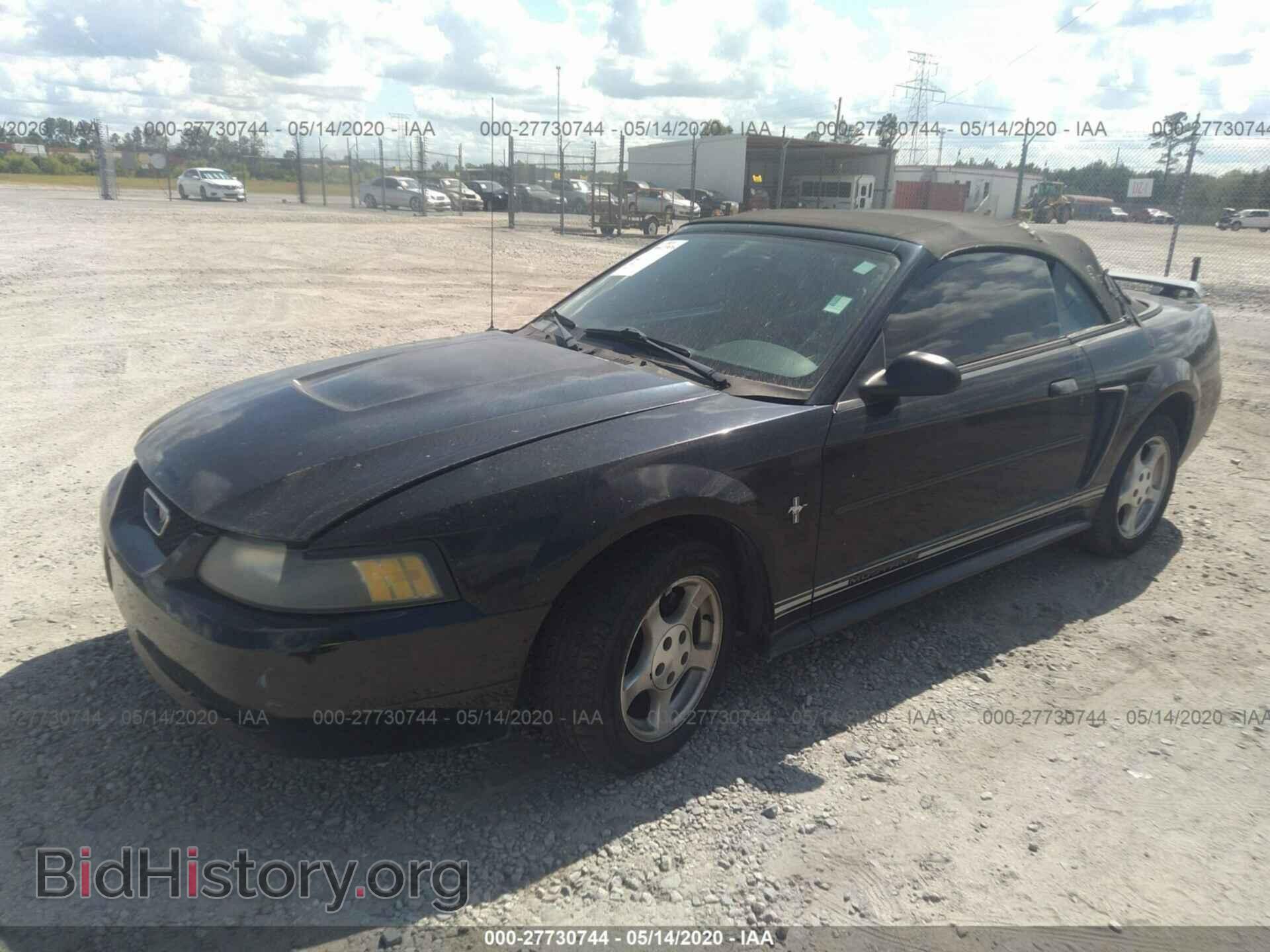 2003 FORD MUSTANG - VIN: 1FAFP44403F329296 - Фото 2