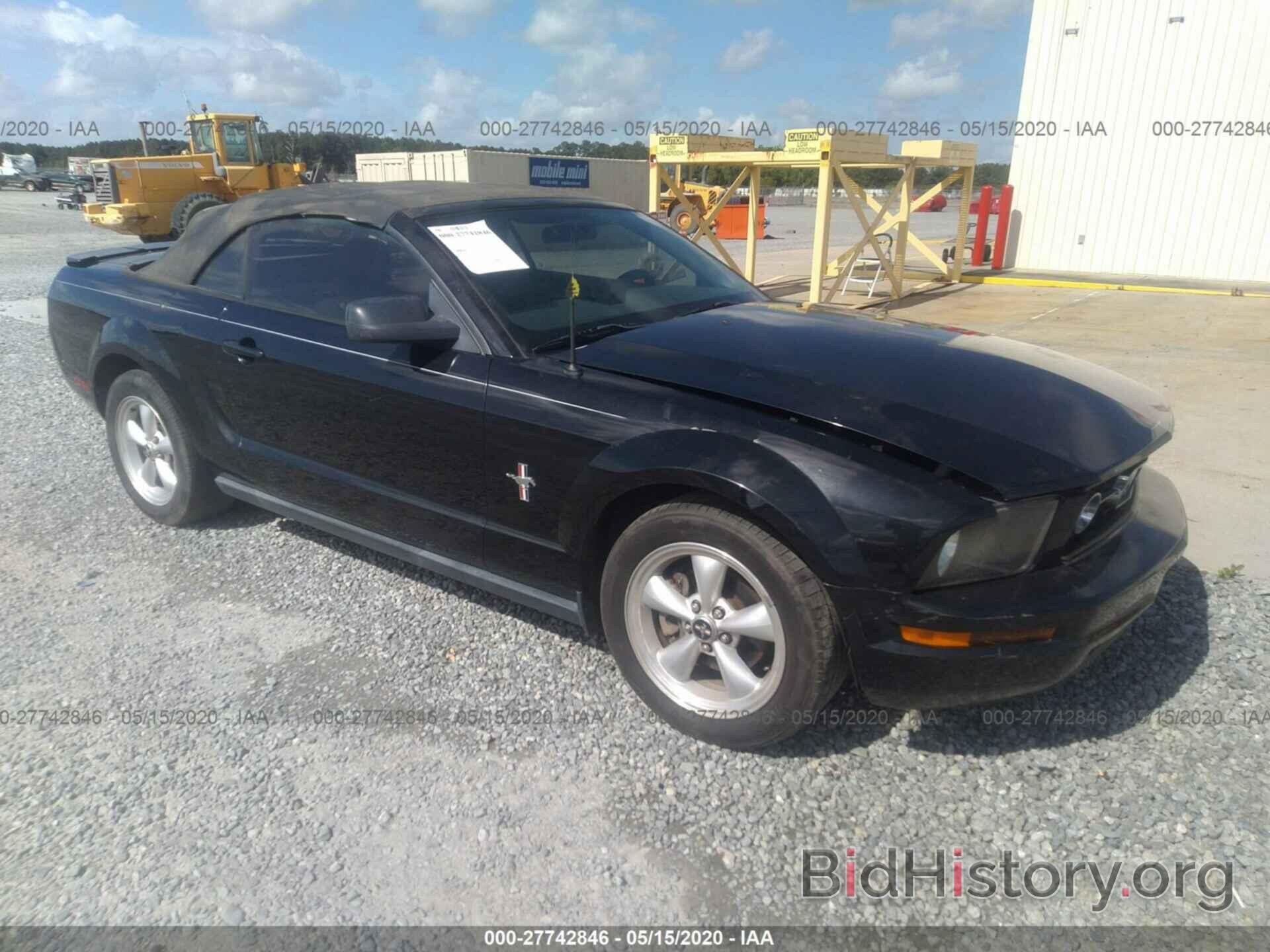 Photo 1ZVHT84N385110177 - FORD MUSTANG 2008