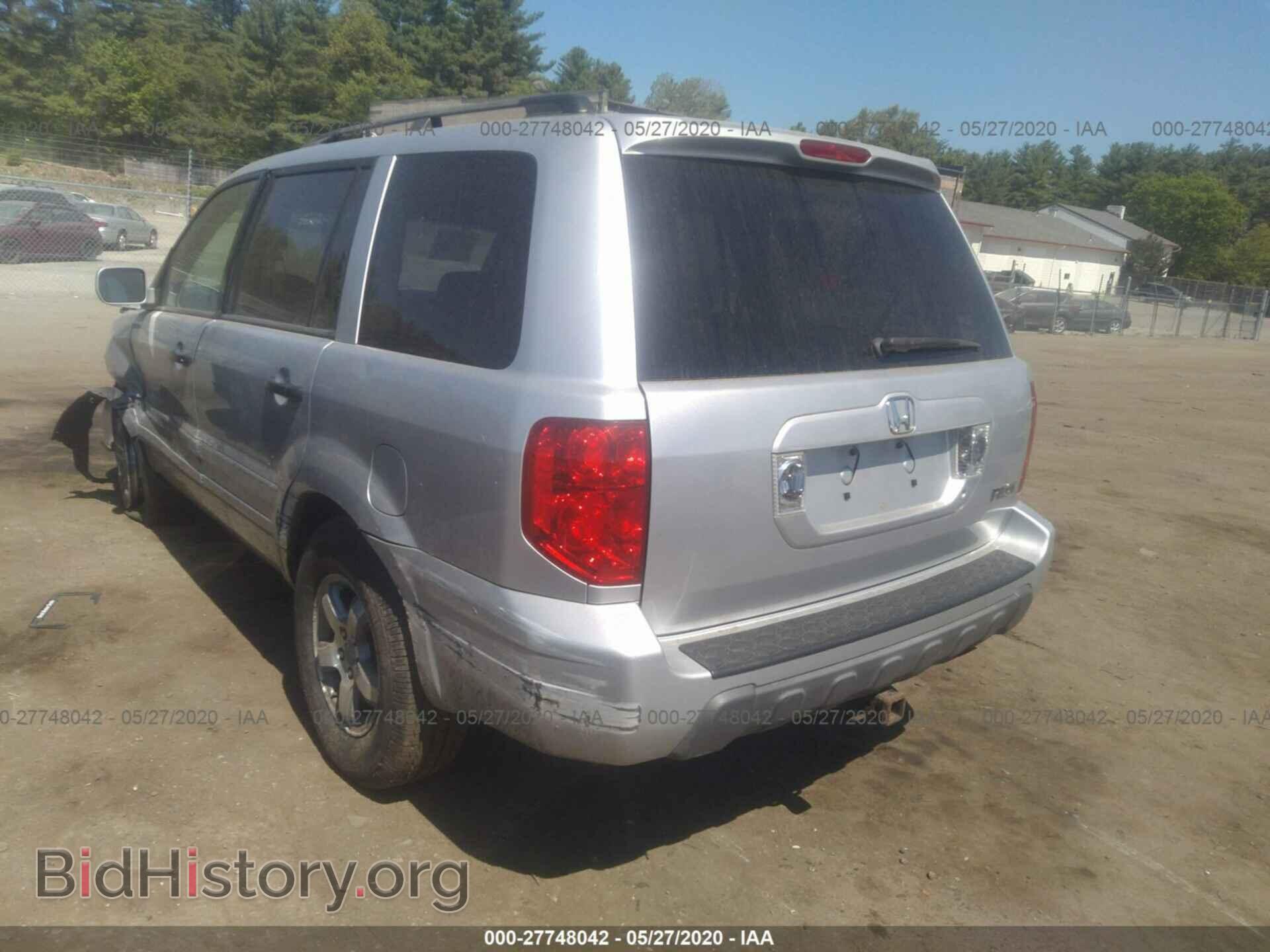 2005 HONDA PILOT - VIN: 5FNYF18555B024679 - Фото 3