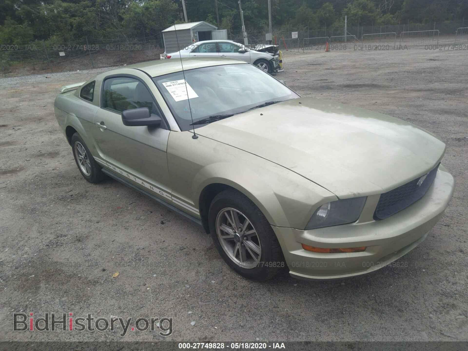 Photo 1ZVFT80N655192379 - FORD MUSTANG 2005