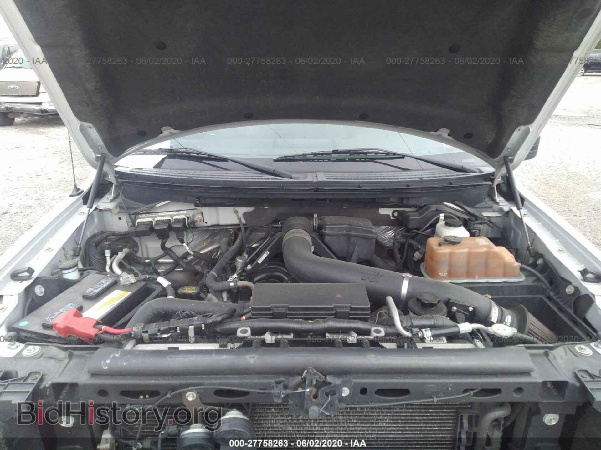 2010 FORD F150 - VIN: 1FTFW1EV1AFA17116 - Фото 10