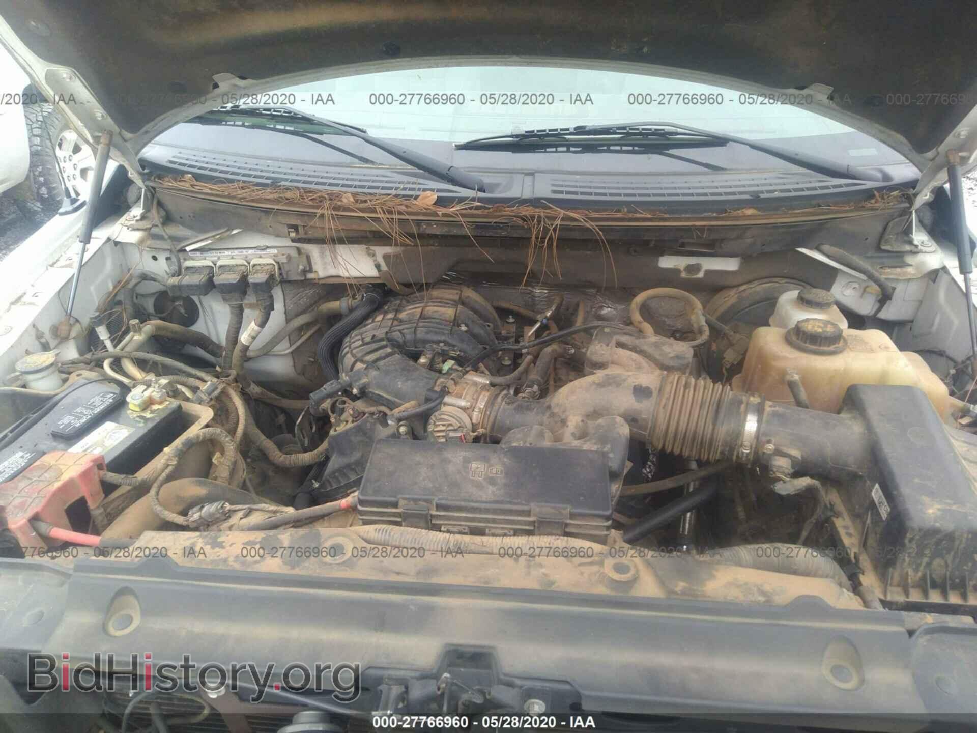 2013 FORD F150 - VIN: 1FTMF1CM6DFB95593 - Фото 10
