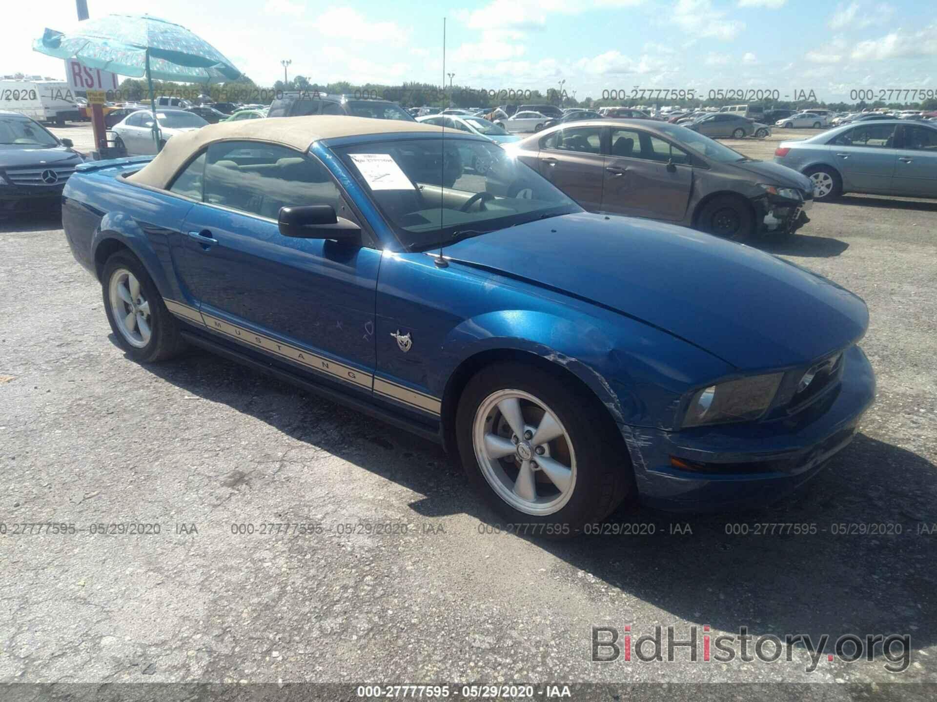 Photo 1ZVHT84N395116384 - FORD MUSTANG 2009
