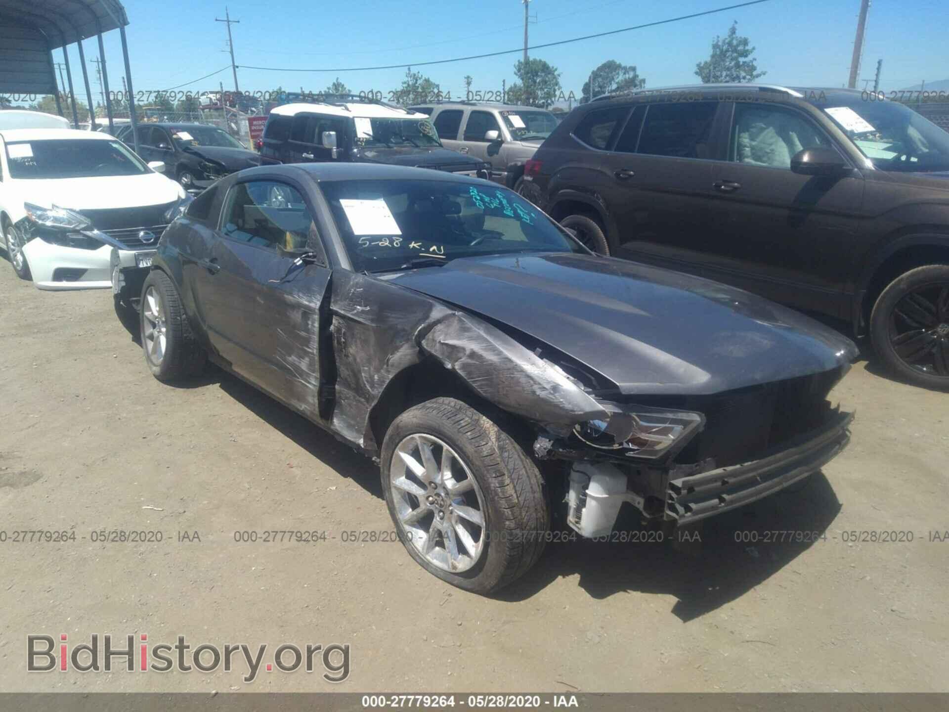 Photo 1ZVBP8AN3A5101810 - FORD MUSTANG 2010