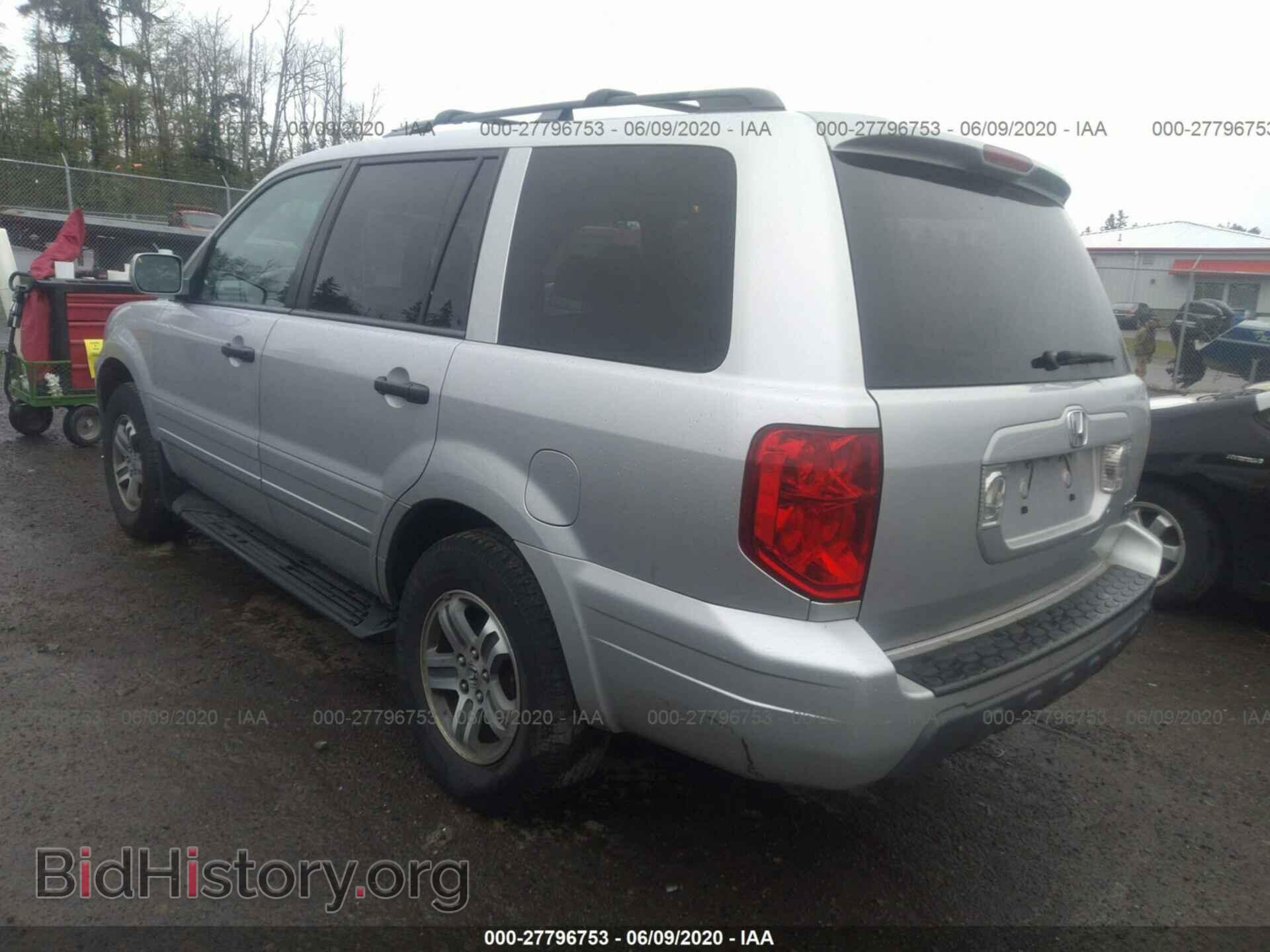 2005 HONDA PILOT - VIN: 5FNYF18605B008043 - Фото 3