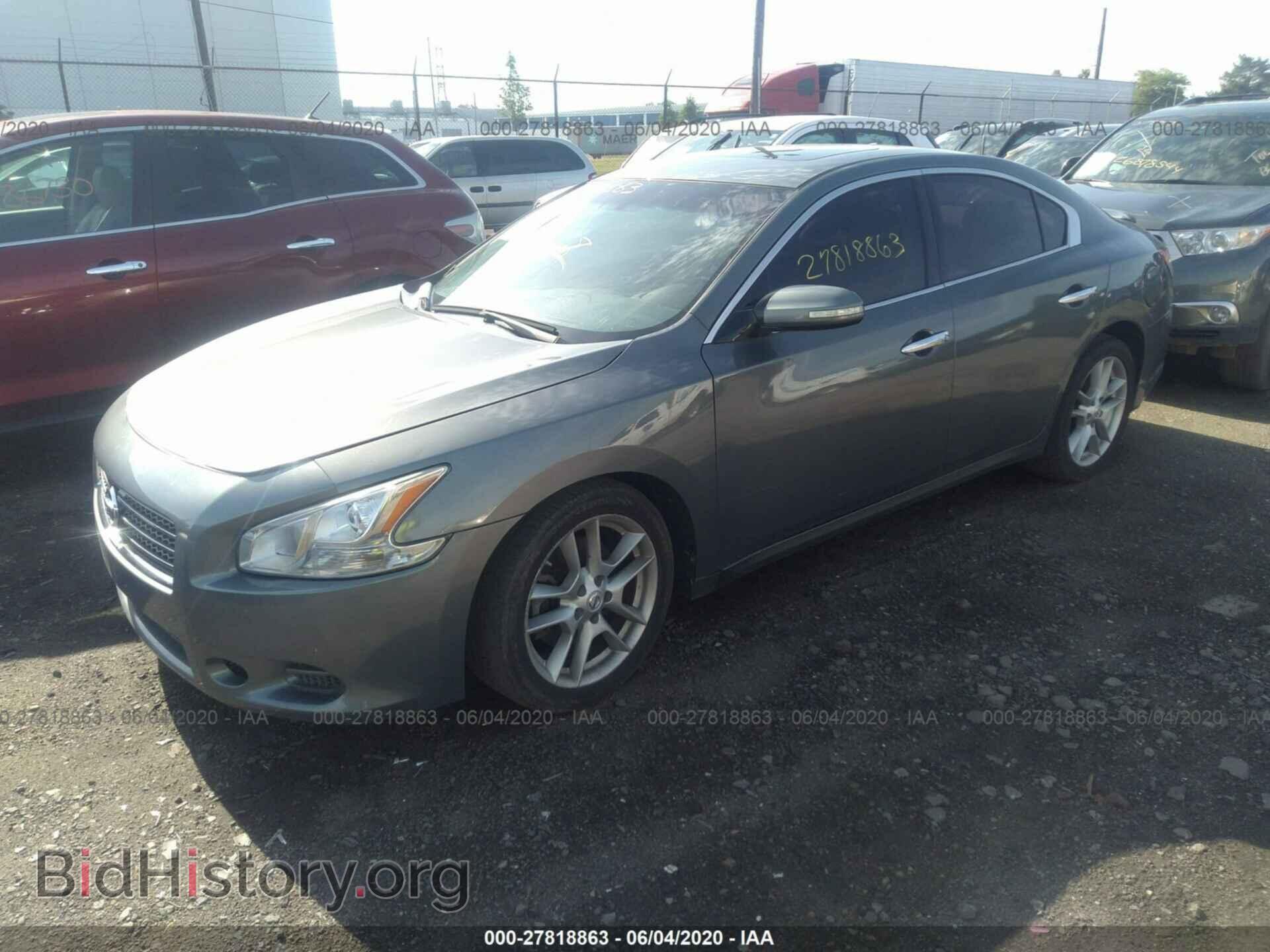 2010 NISSAN MAXIMA - VIN: 1N4AA5AP9AC849527 - Фото 2