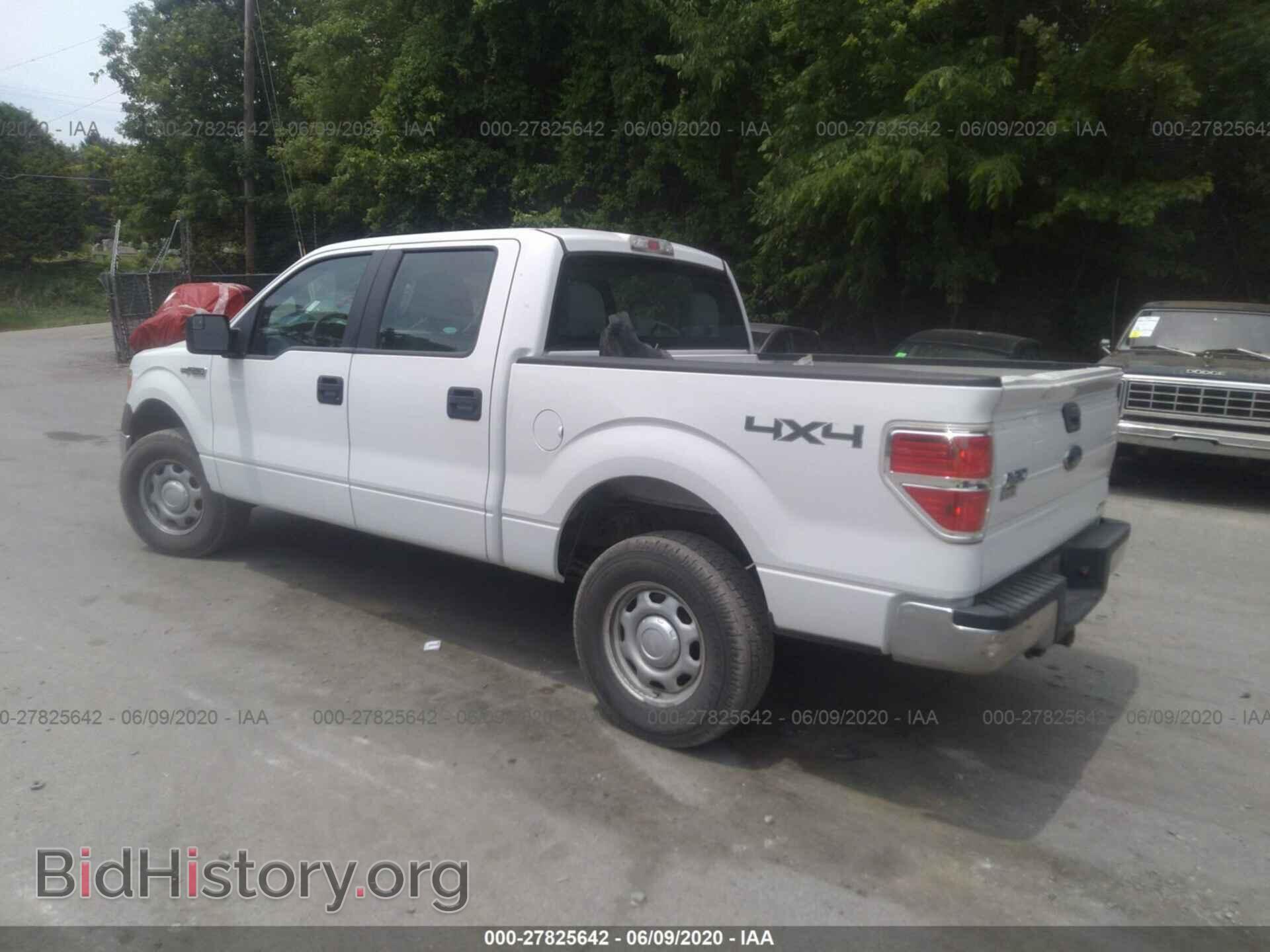 2013 FORD F150 - VIN: 1FTFW1EF1DFC63595 - Фото 3
