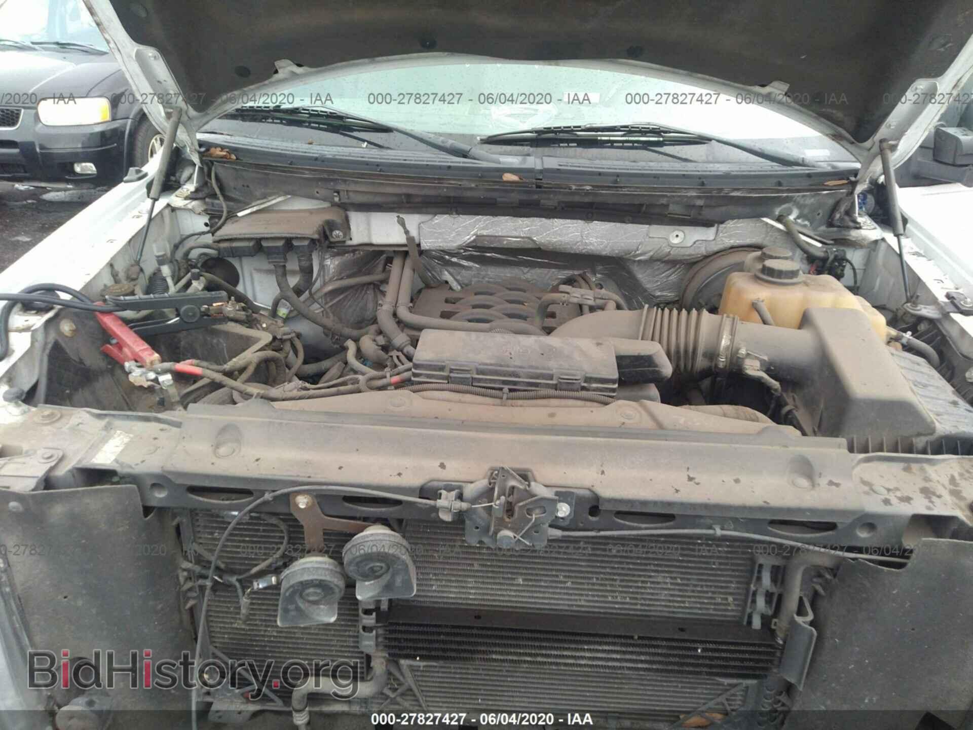 2011 FORD F150 - VIN: 1FTVX1CF7BKD40339 - Фото 10