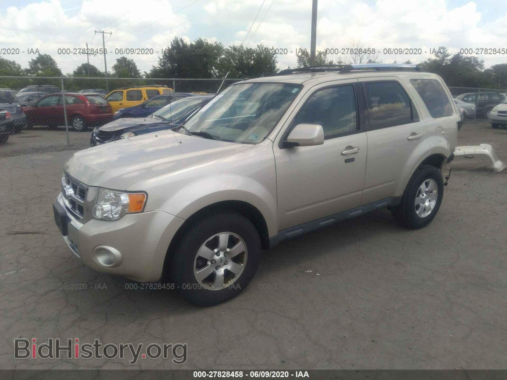 2011 FORD ESCAPE - VIN: 1FMCU9EG9BKC48570 - Фото 2