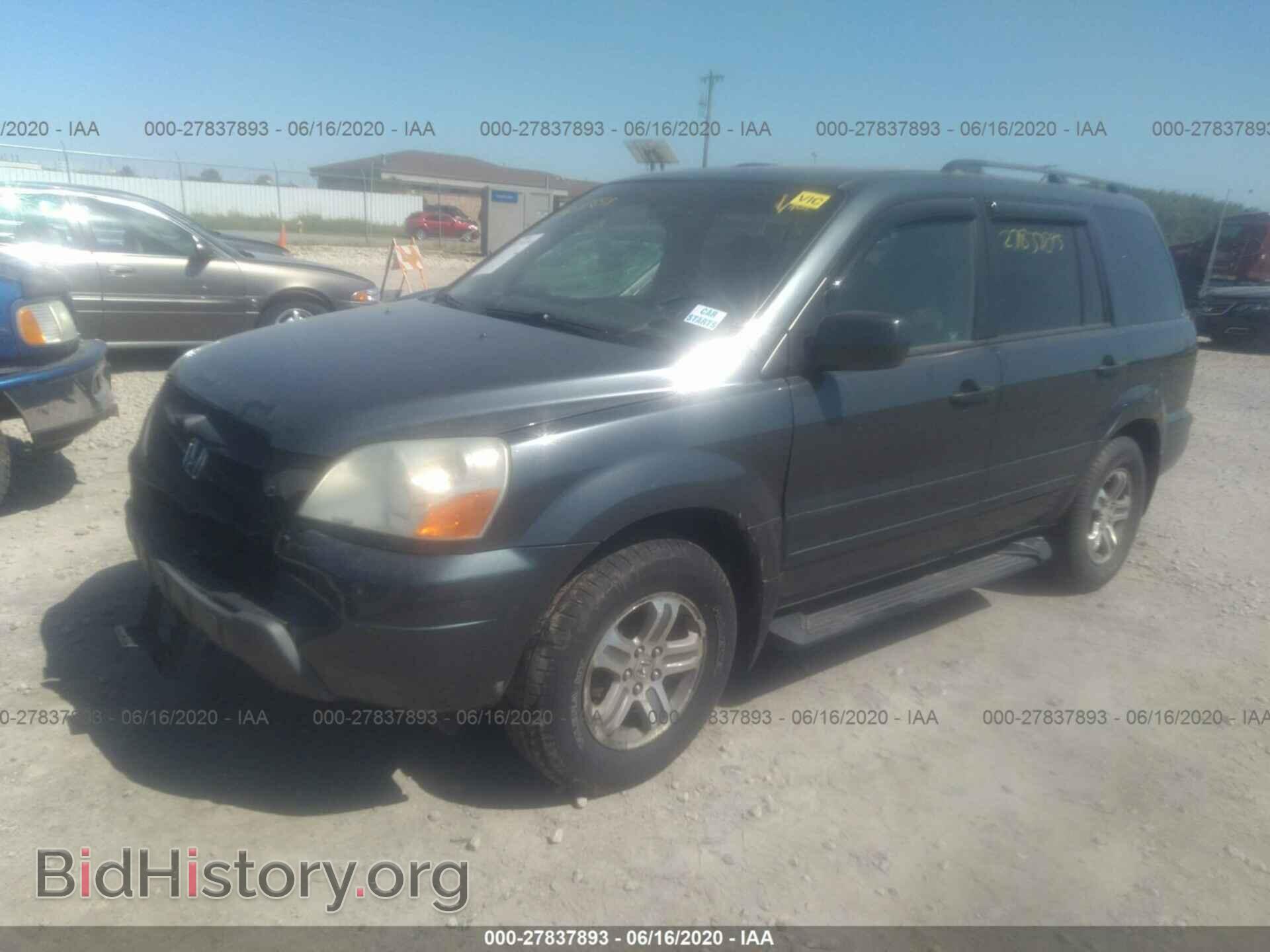 2005 HONDA PILOT - VIN: 5FNYF186X5B064877 - Фото 2