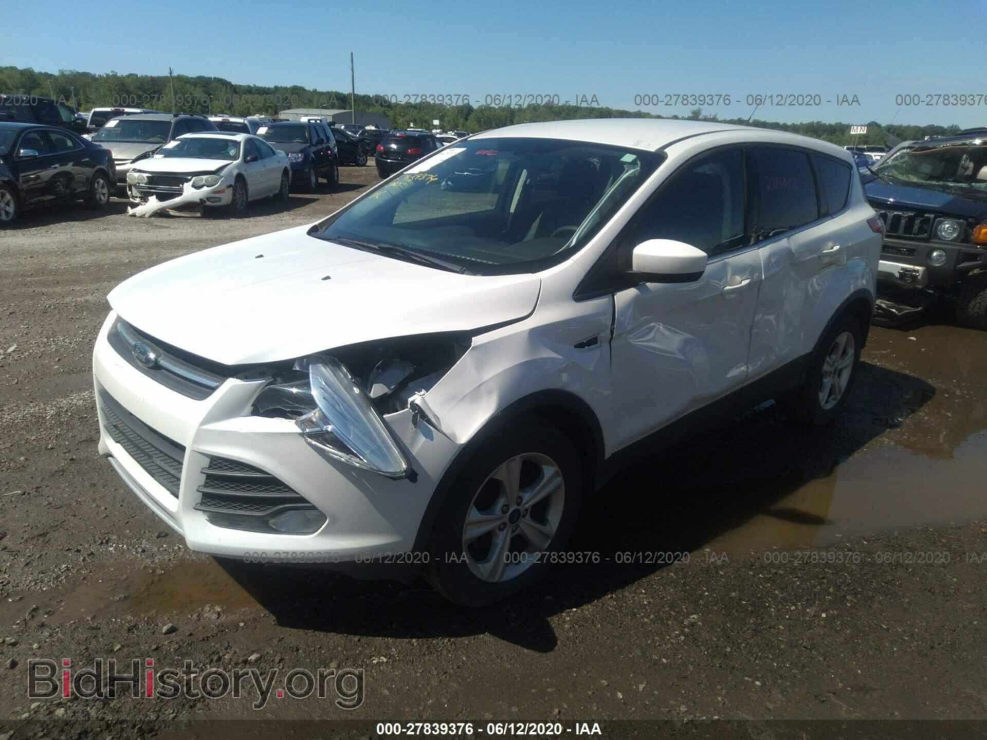 2014 FORD ESCAPE - VIN: 1FMCU0GX4EUE10896 - Фото 2