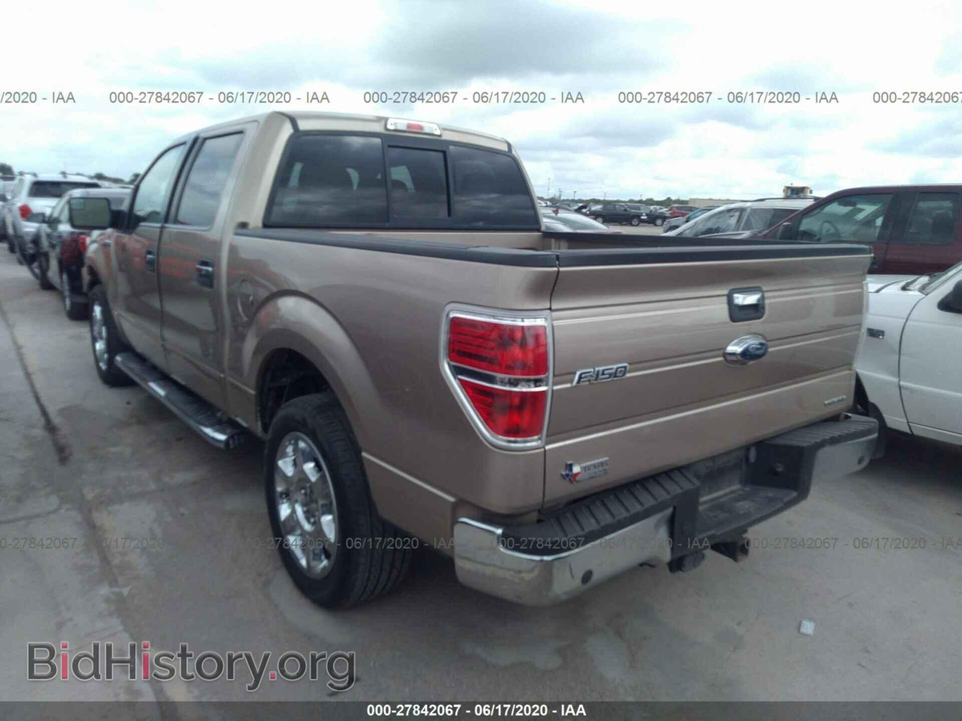 2013 FORD F150 - VIN: 1FTFW1CF3DKD41238 - Фото 3
