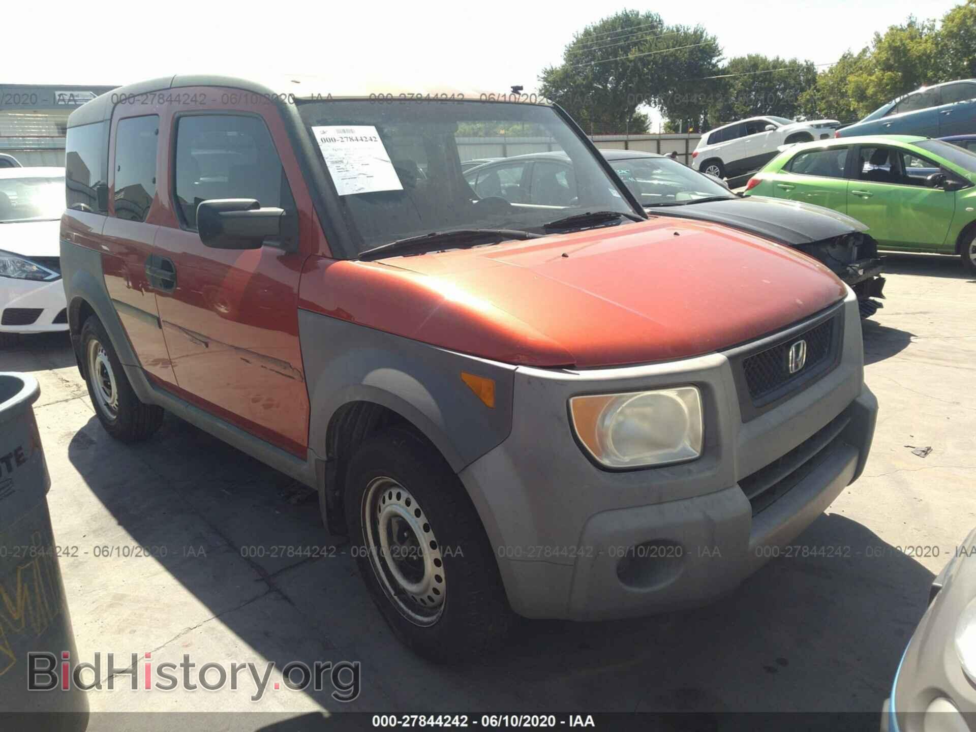 Photo 5J6YH18384L013304 - HONDA ELEMENT 2004