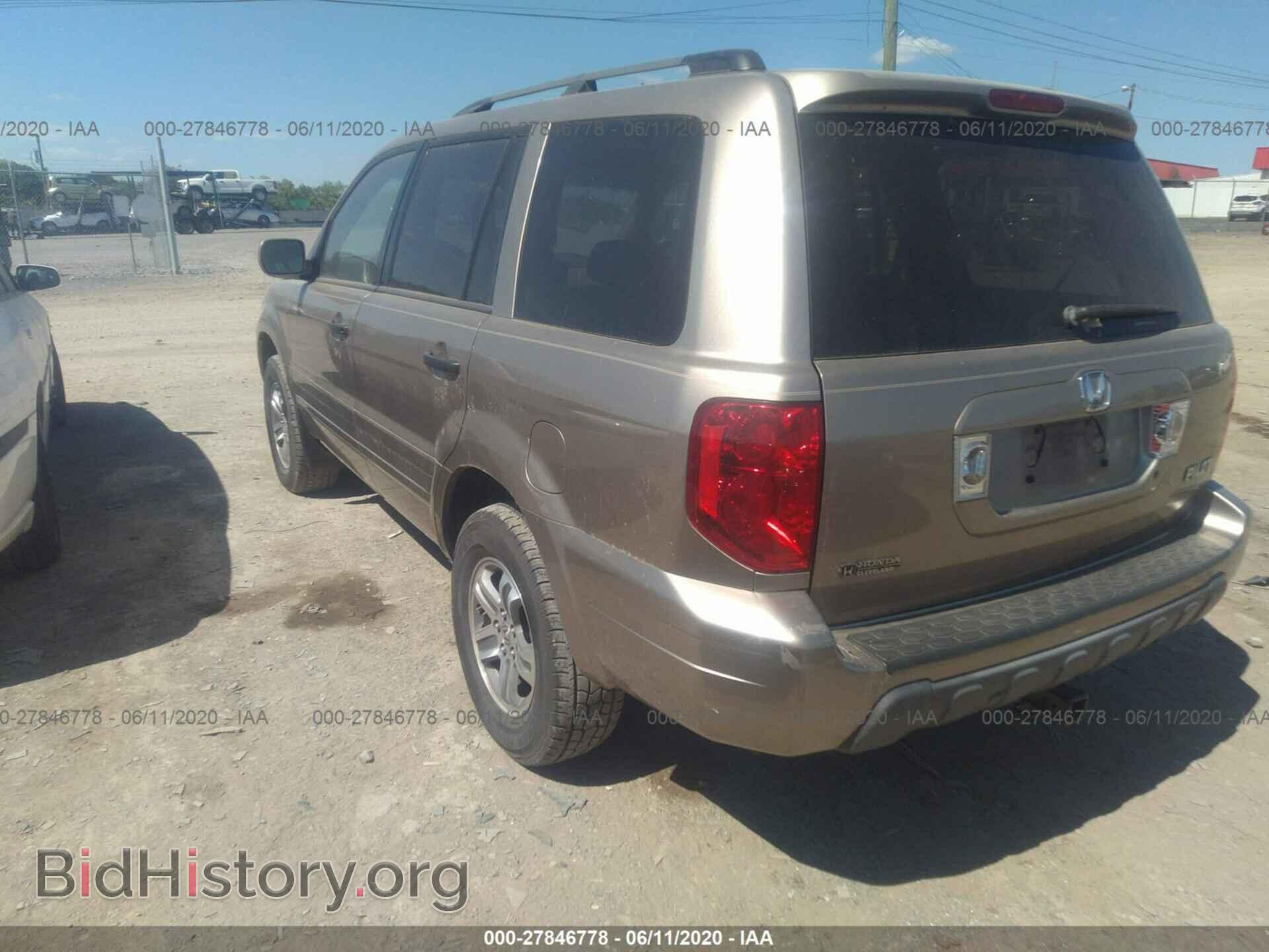 2005 HONDA PILOT - VIN: 5FNYF18565B007700 - Фото 3