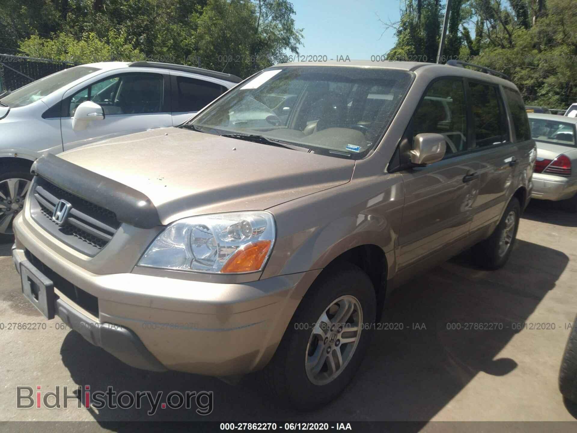 2005 HONDA PILOT - VIN: 2HKYF186X5H503352 - Фото 2